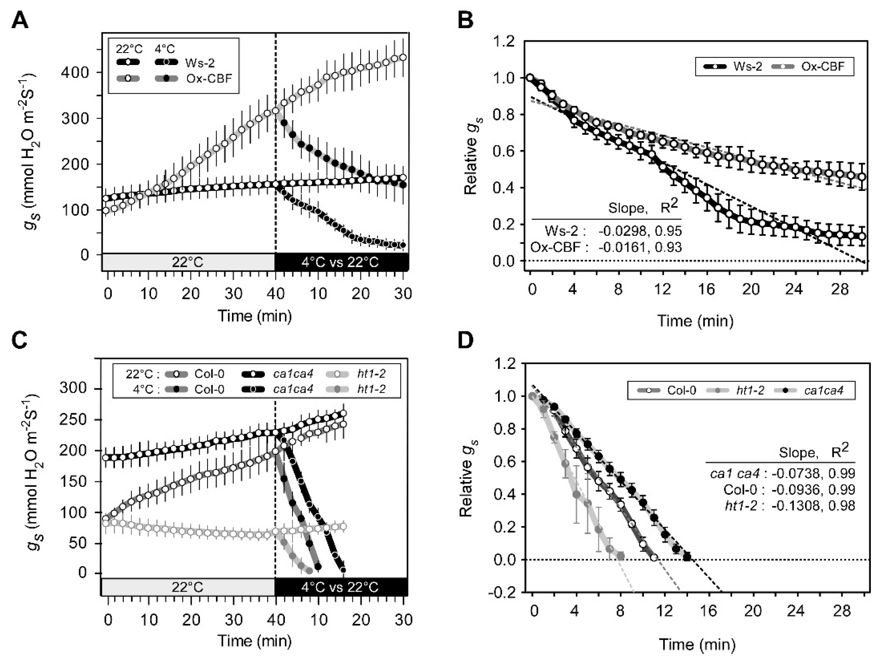 Ijms 21 07616 g005 Ijms 21 07616 g005