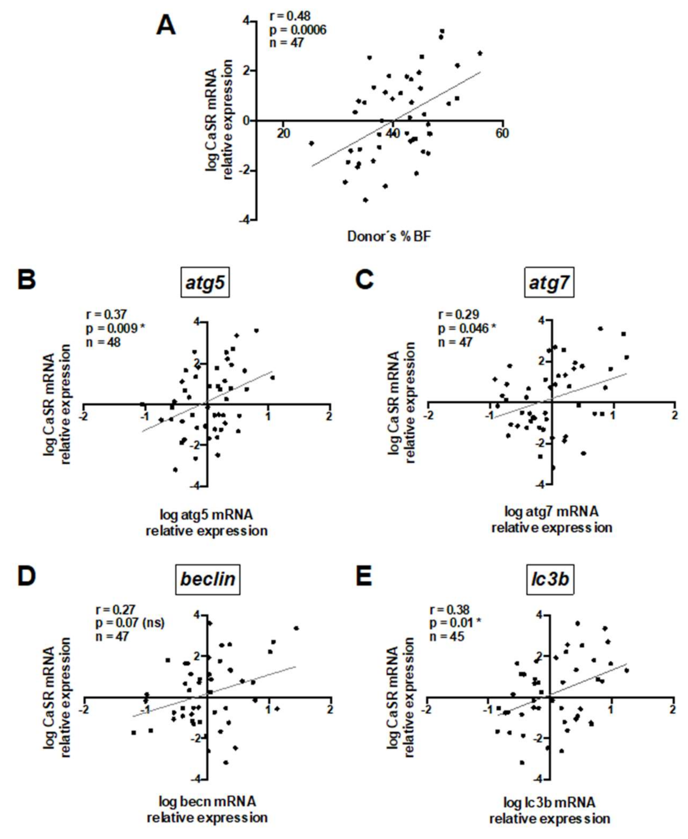 Ijms 21 07617 g001 Ijms 21 07617 g001