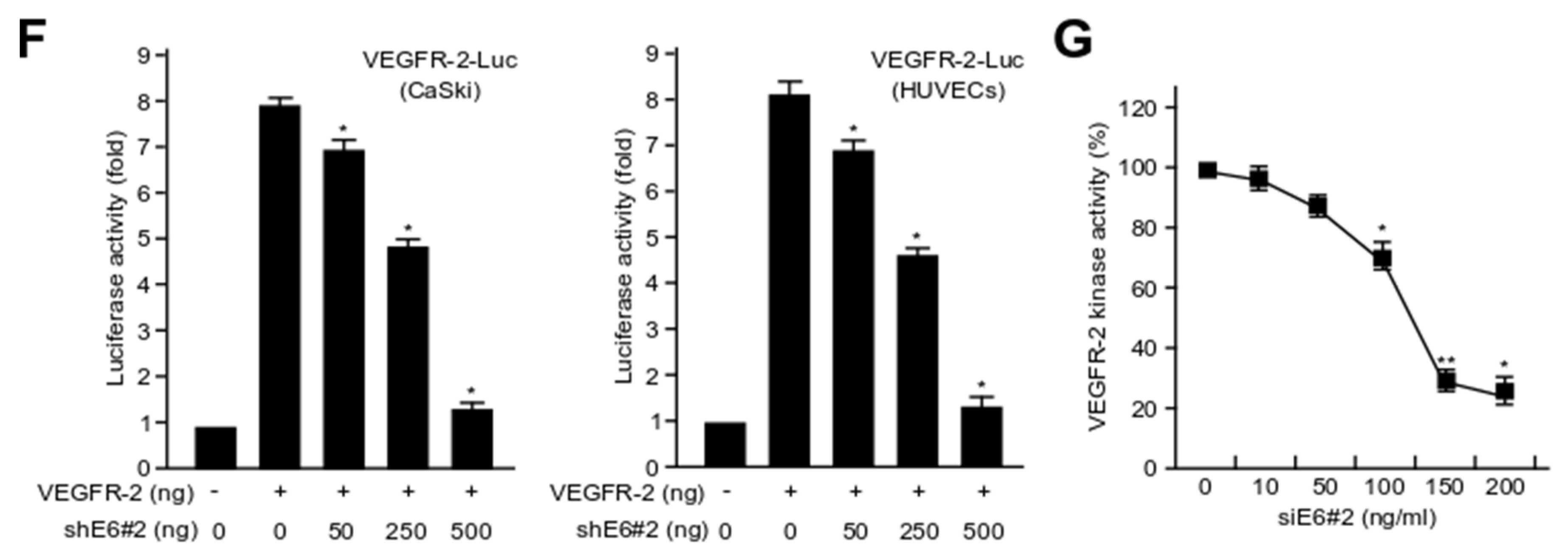 Ijms 21 07622 g003b Ijms 21 07622 g003b
