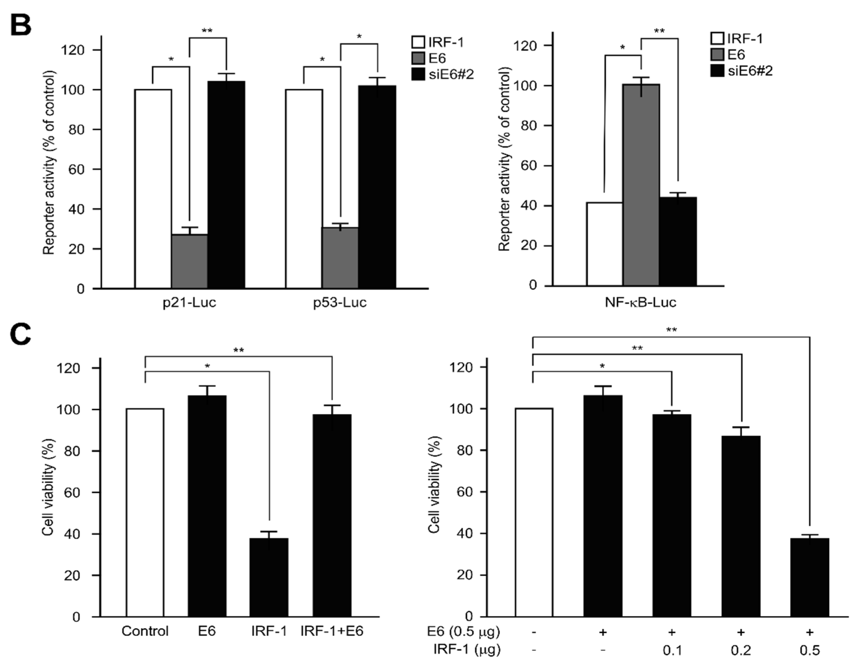 Ijms 21 07622 g005b Ijms 21 07622 g005b