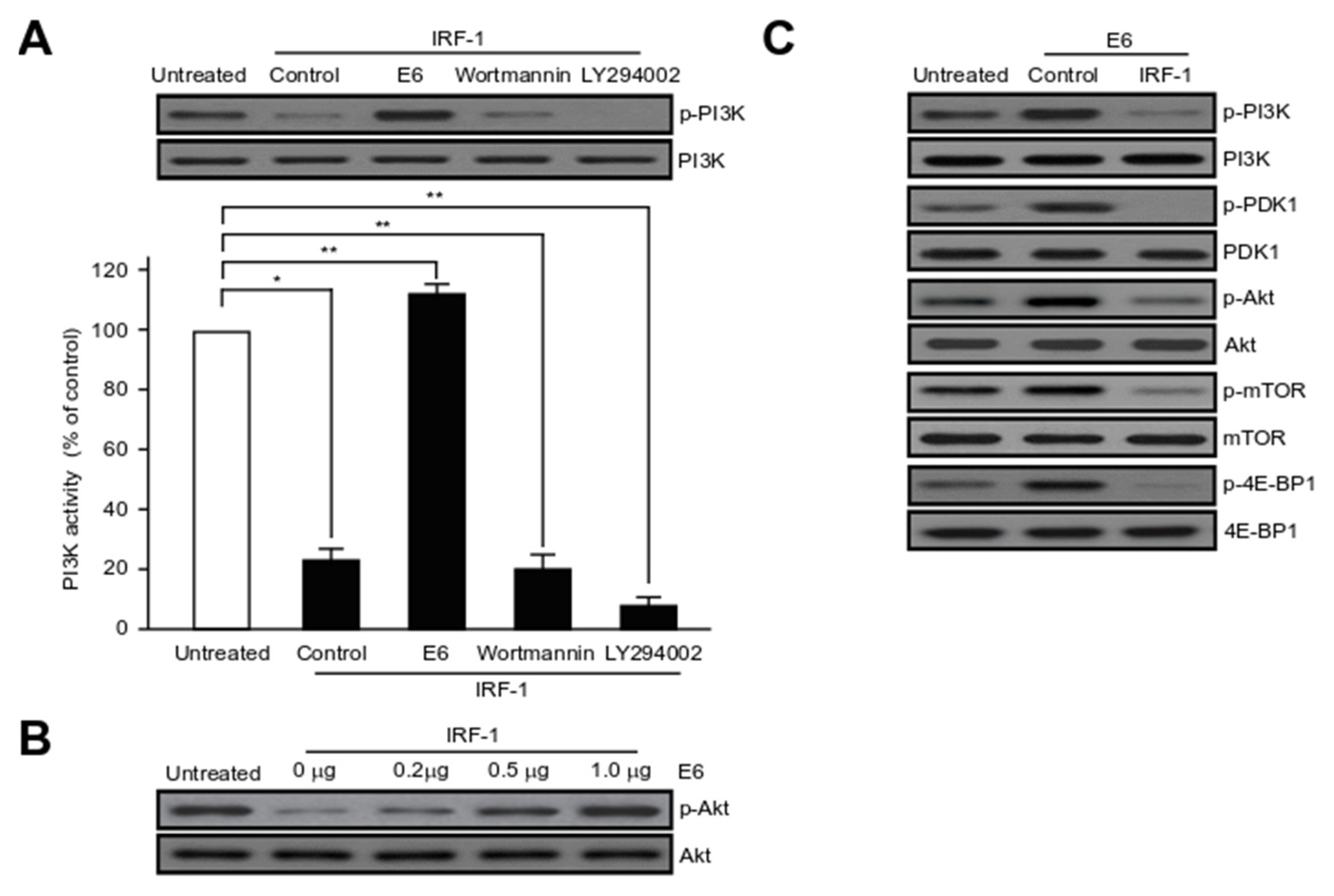 Ijms 21 07622 g006 Ijms 21 07622 g006