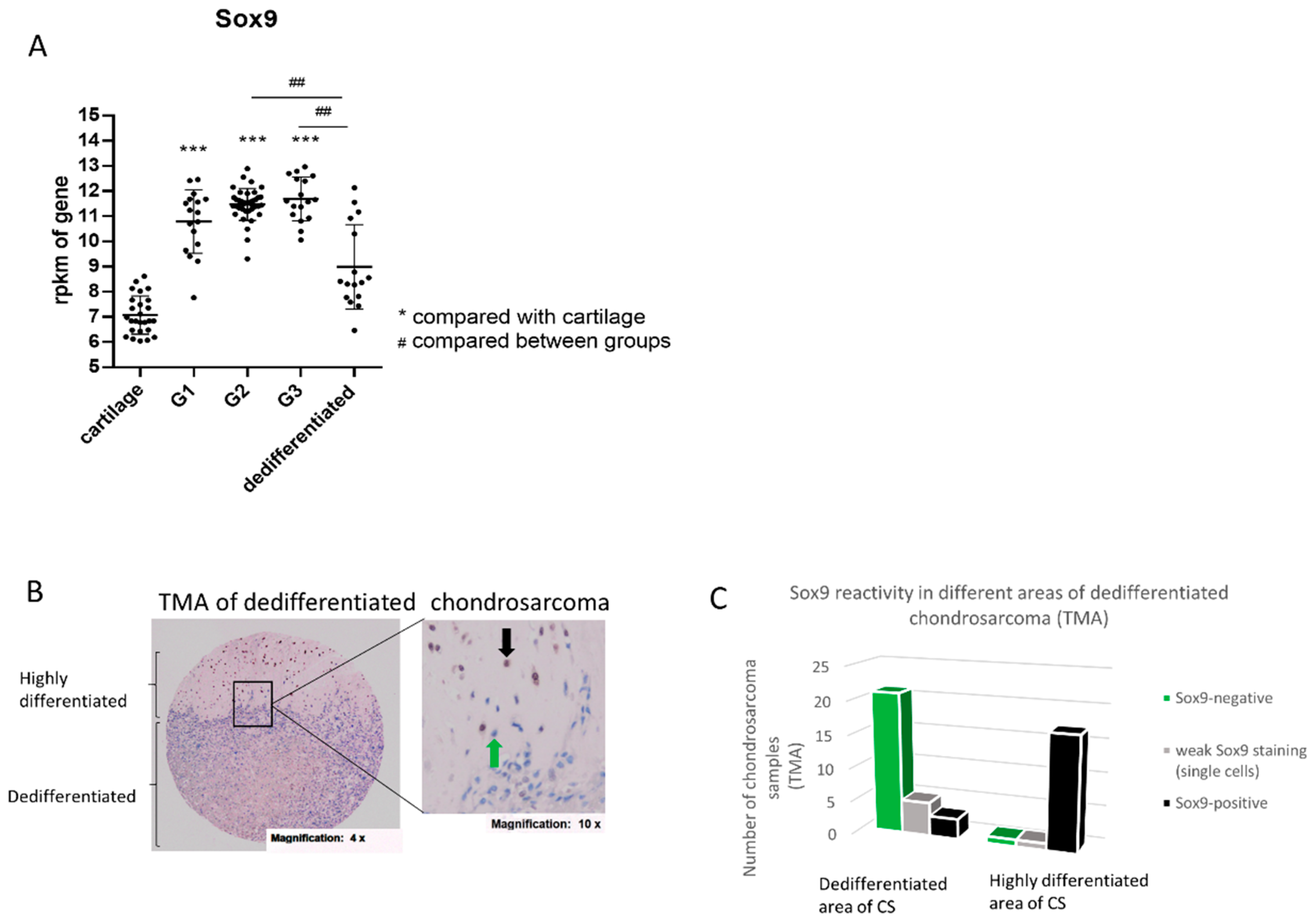 Ijms 21 07627 g001 Ijms 21 07627 g001