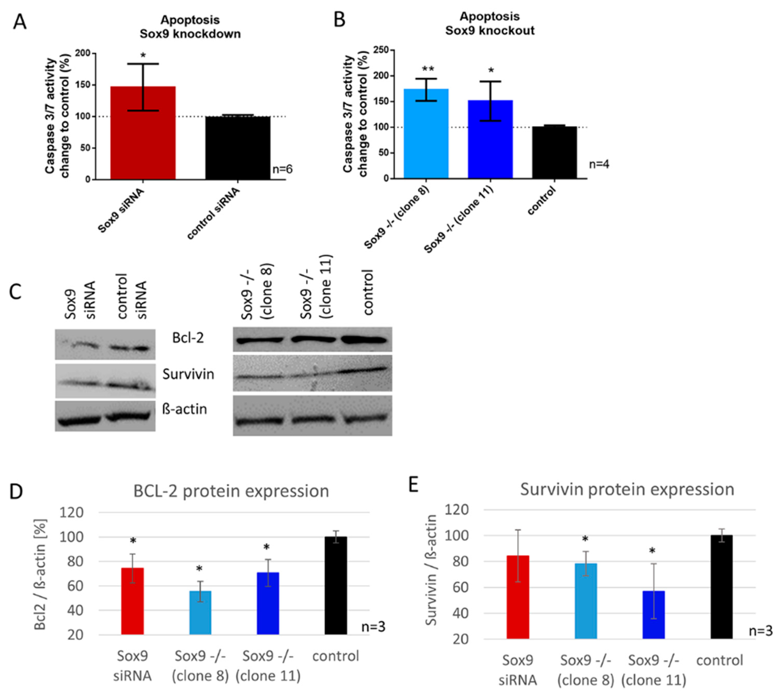 Ijms 21 07627 g003 Ijms 21 07627 g003