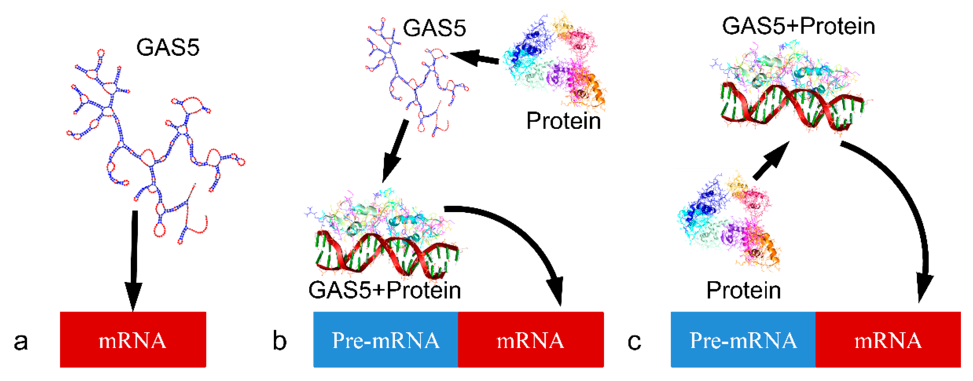Ijms 21 07633 g002 Ijms 21 07633 g002