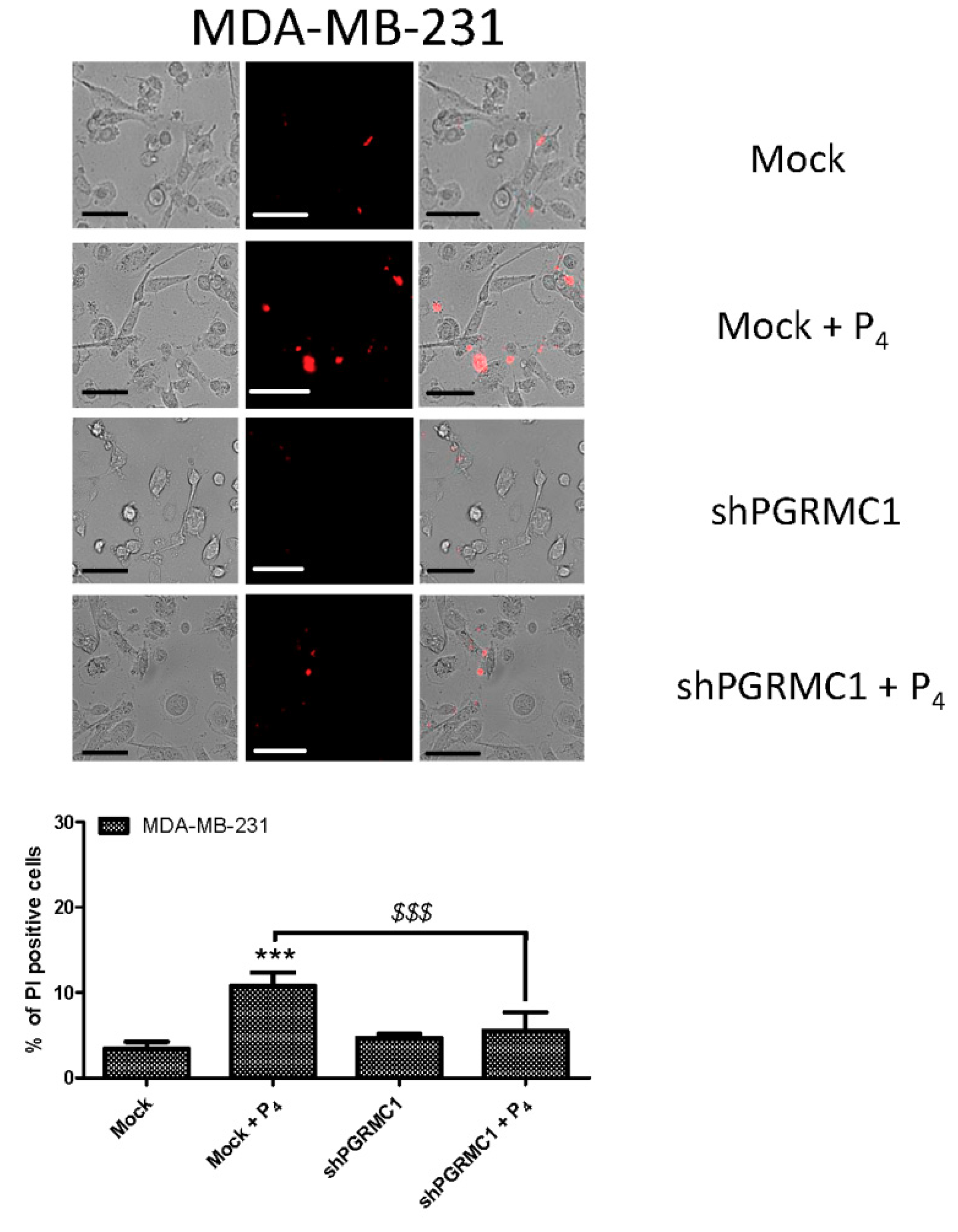 Ijms 21 07641 g008 Ijms 21 07641 g008