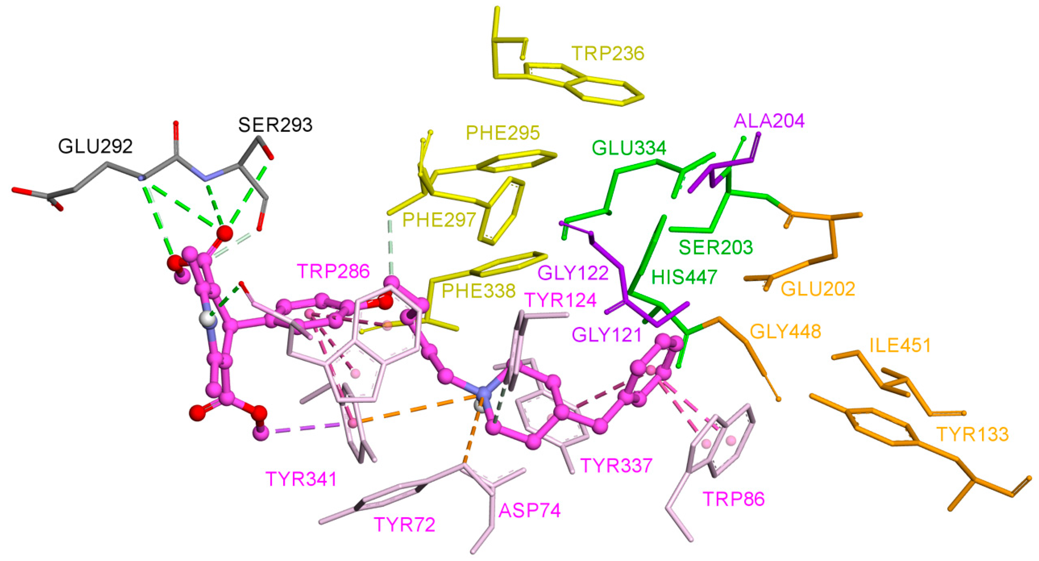 Ijms 21 07652 g001 Ijms 21 07652 g001