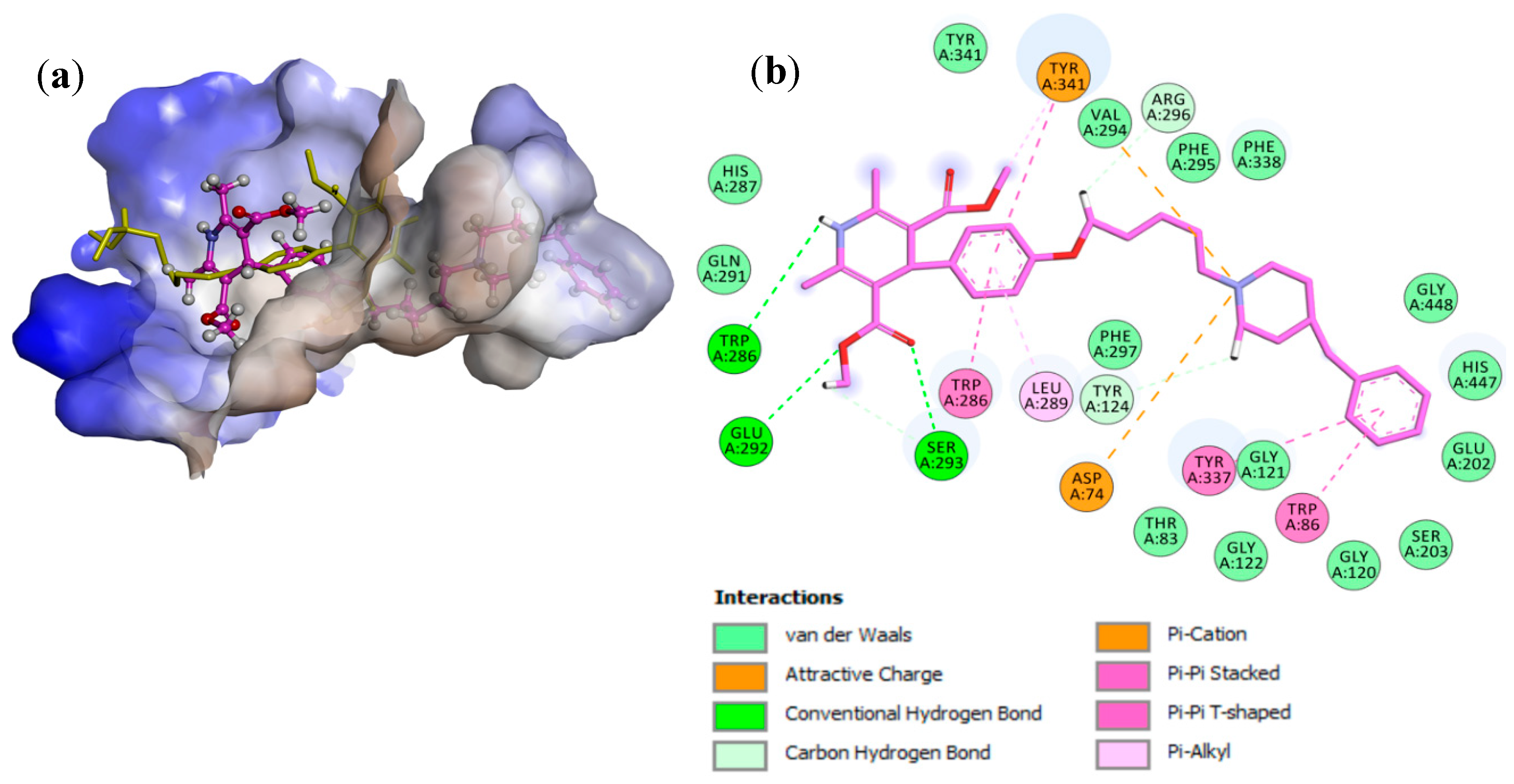 Ijms 21 07652 g002 Ijms 21 07652 g002