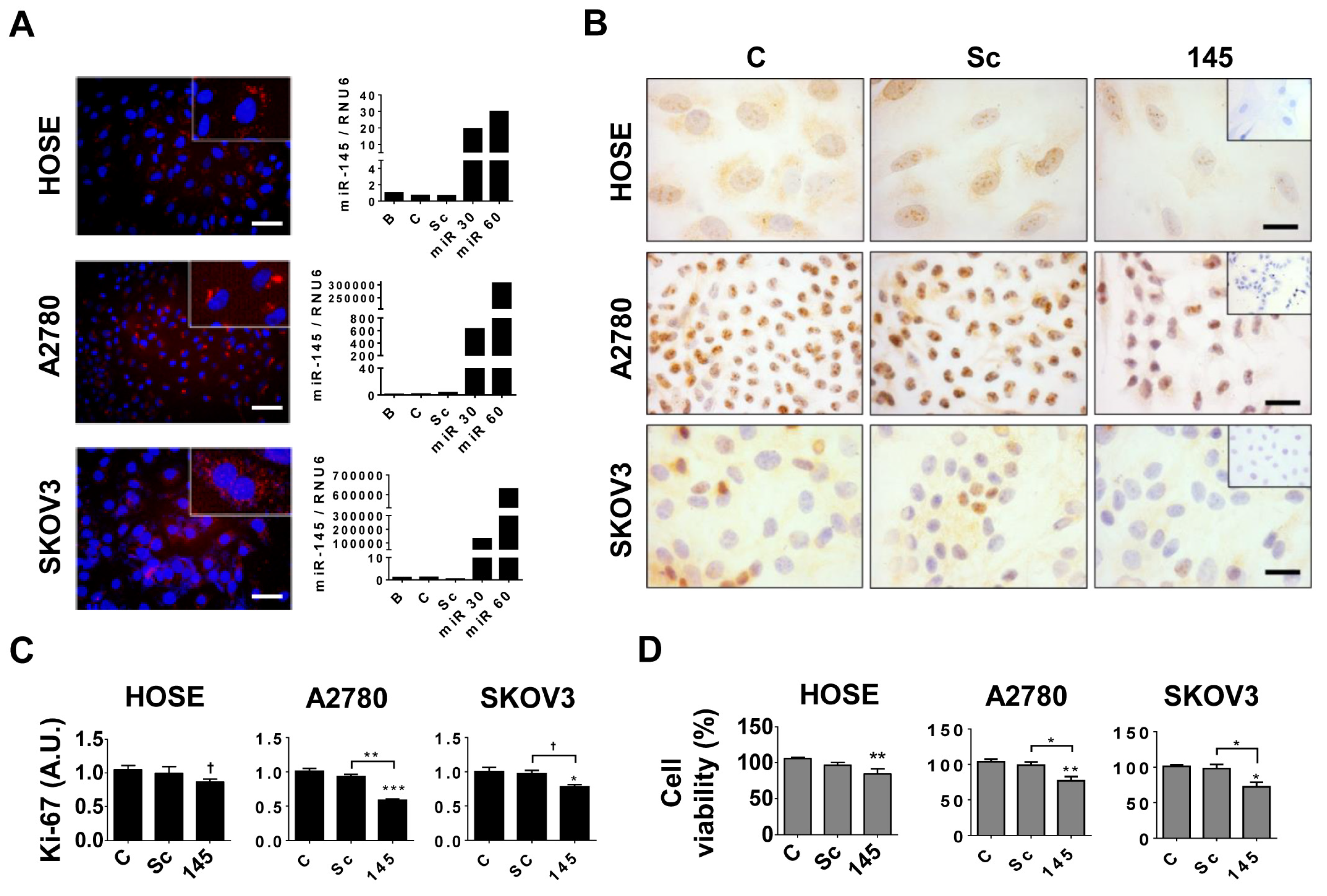 Ijms 21 07657 g002 Ijms 21 07657 g002
