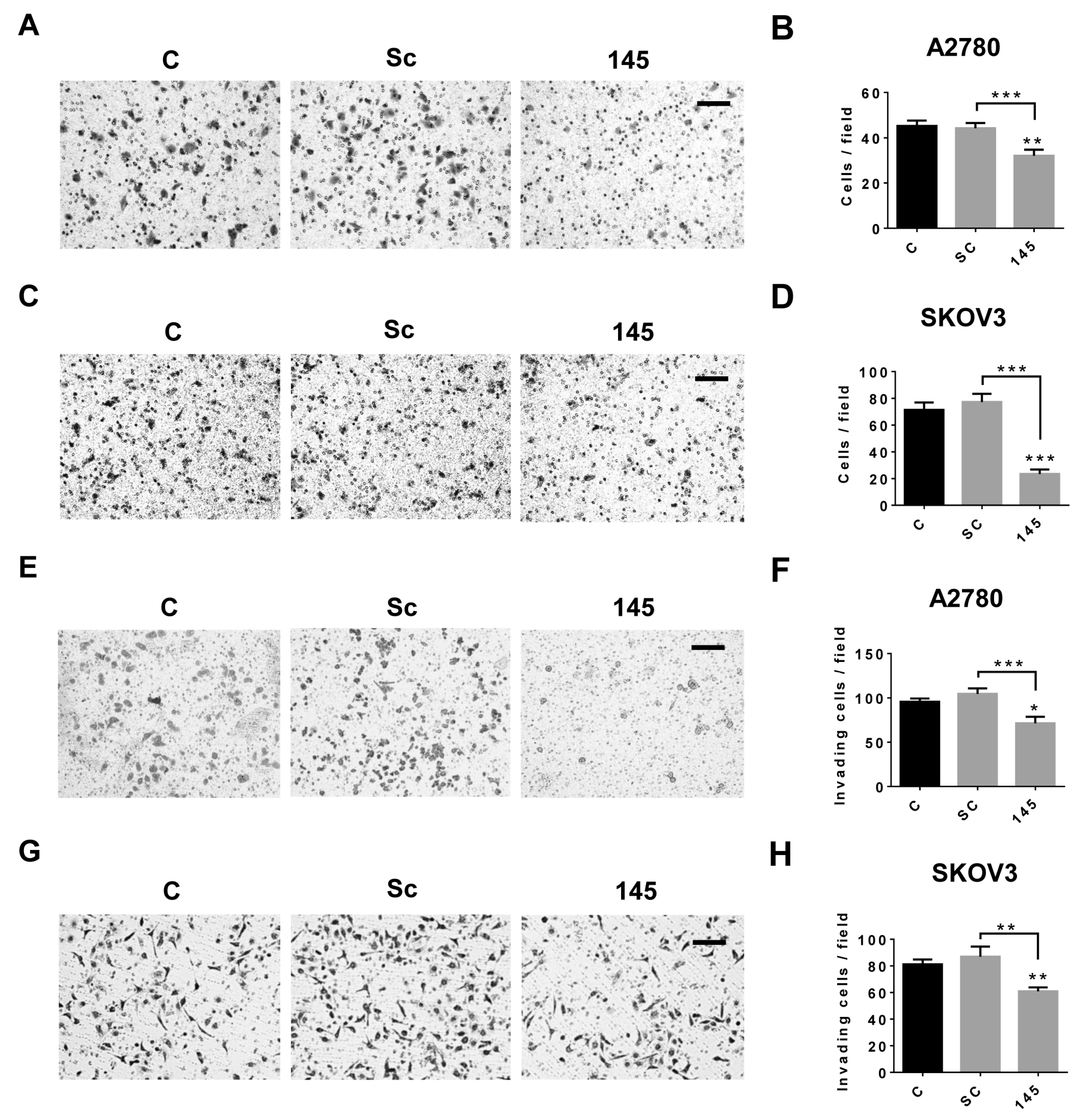 Ijms 21 07657 g003 Ijms 21 07657 g003