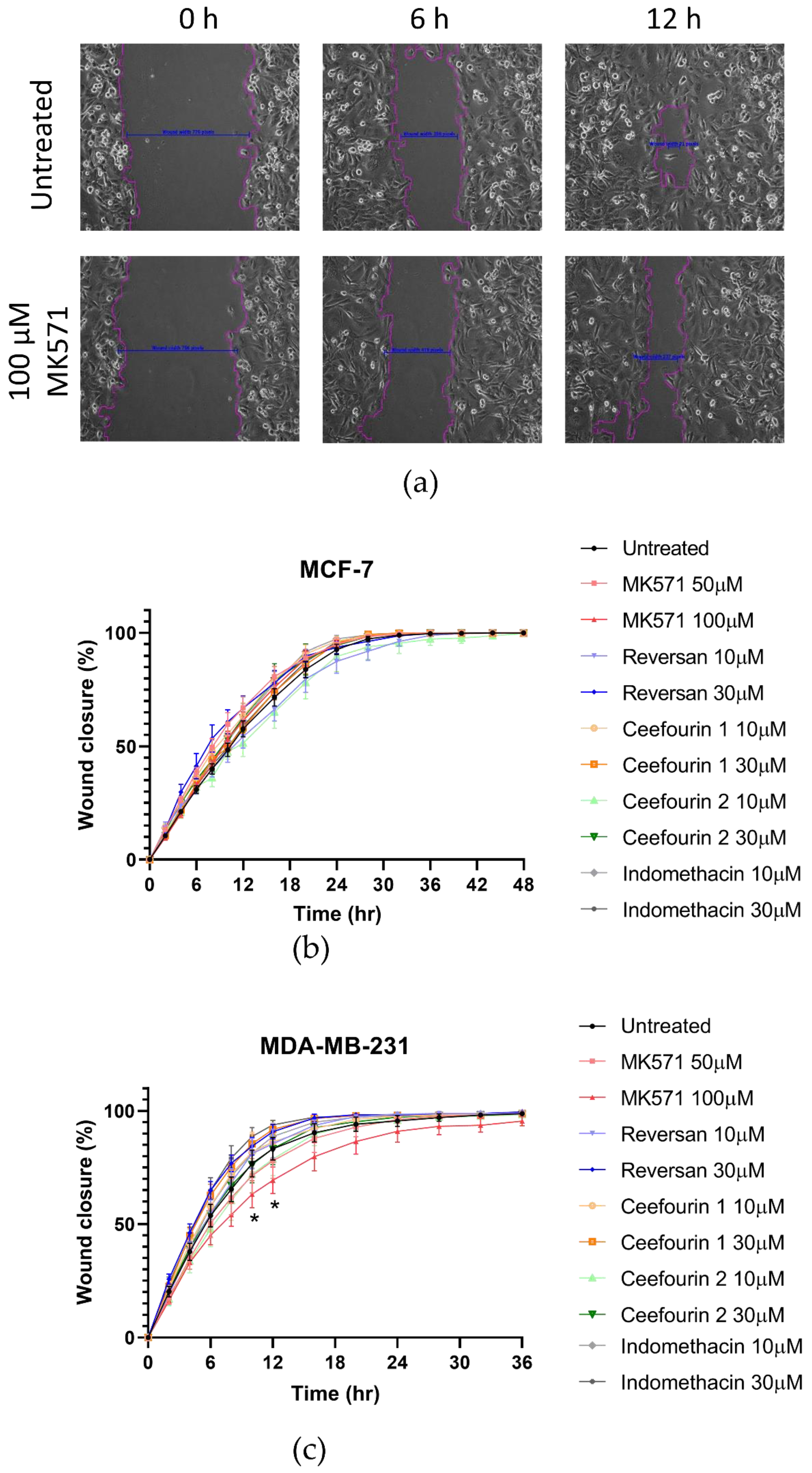 Ijms 21 07664 g004 Ijms 21 07664 g004