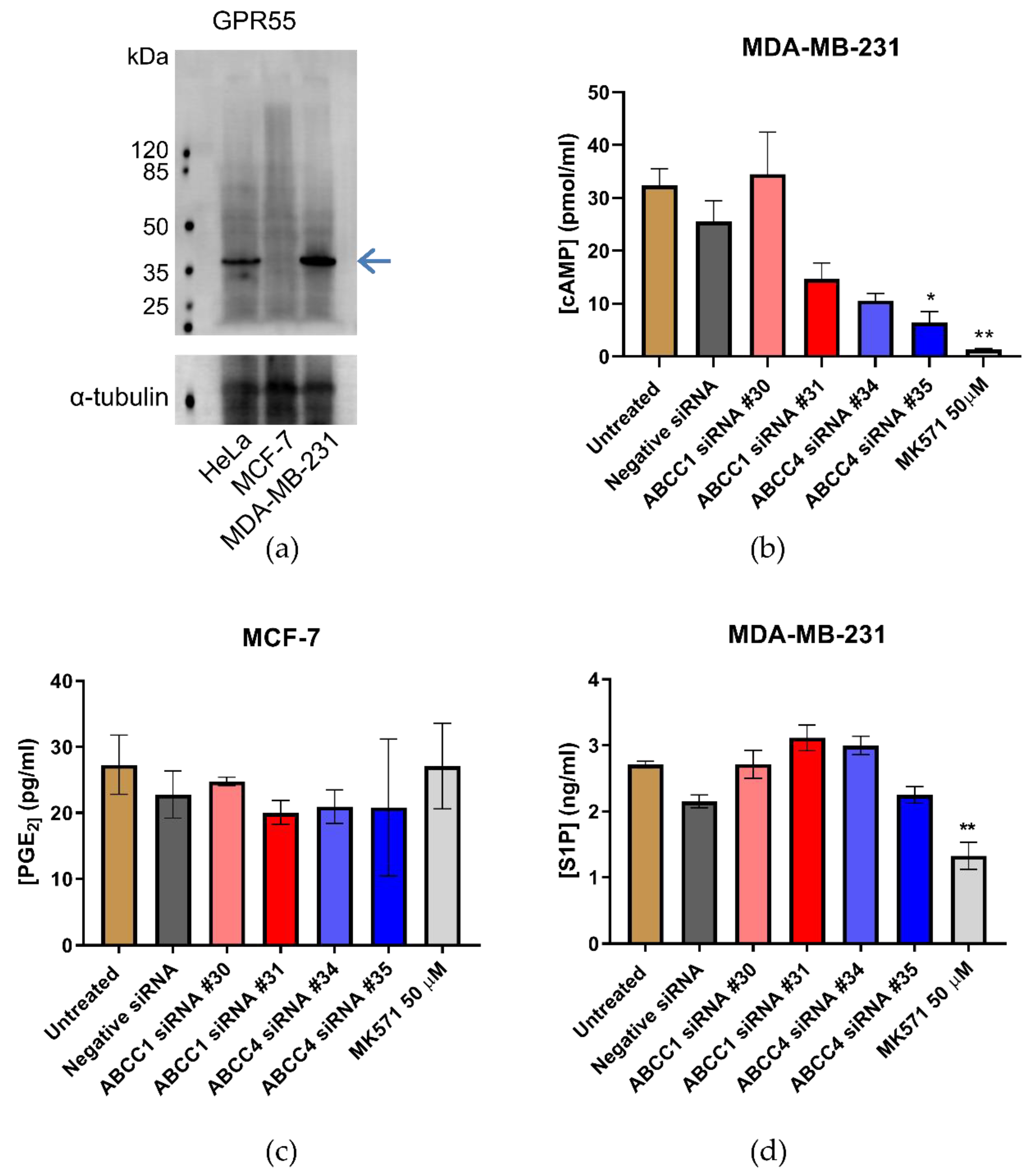 Ijms 21 07664 g008 Ijms 21 07664 g008