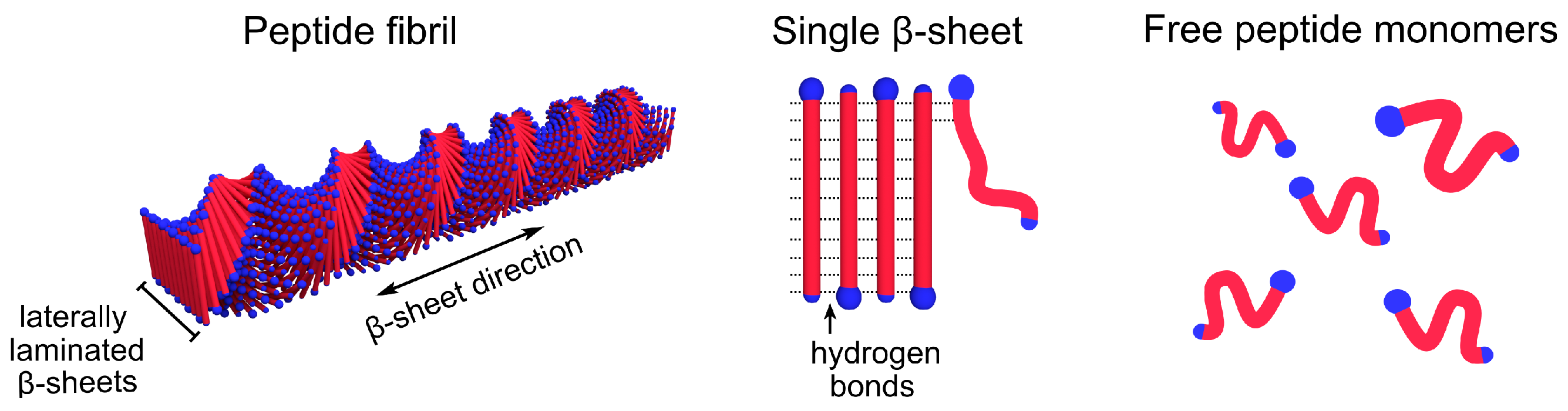 Ijms 21 07671 g001 Ijms 21 07671 g001