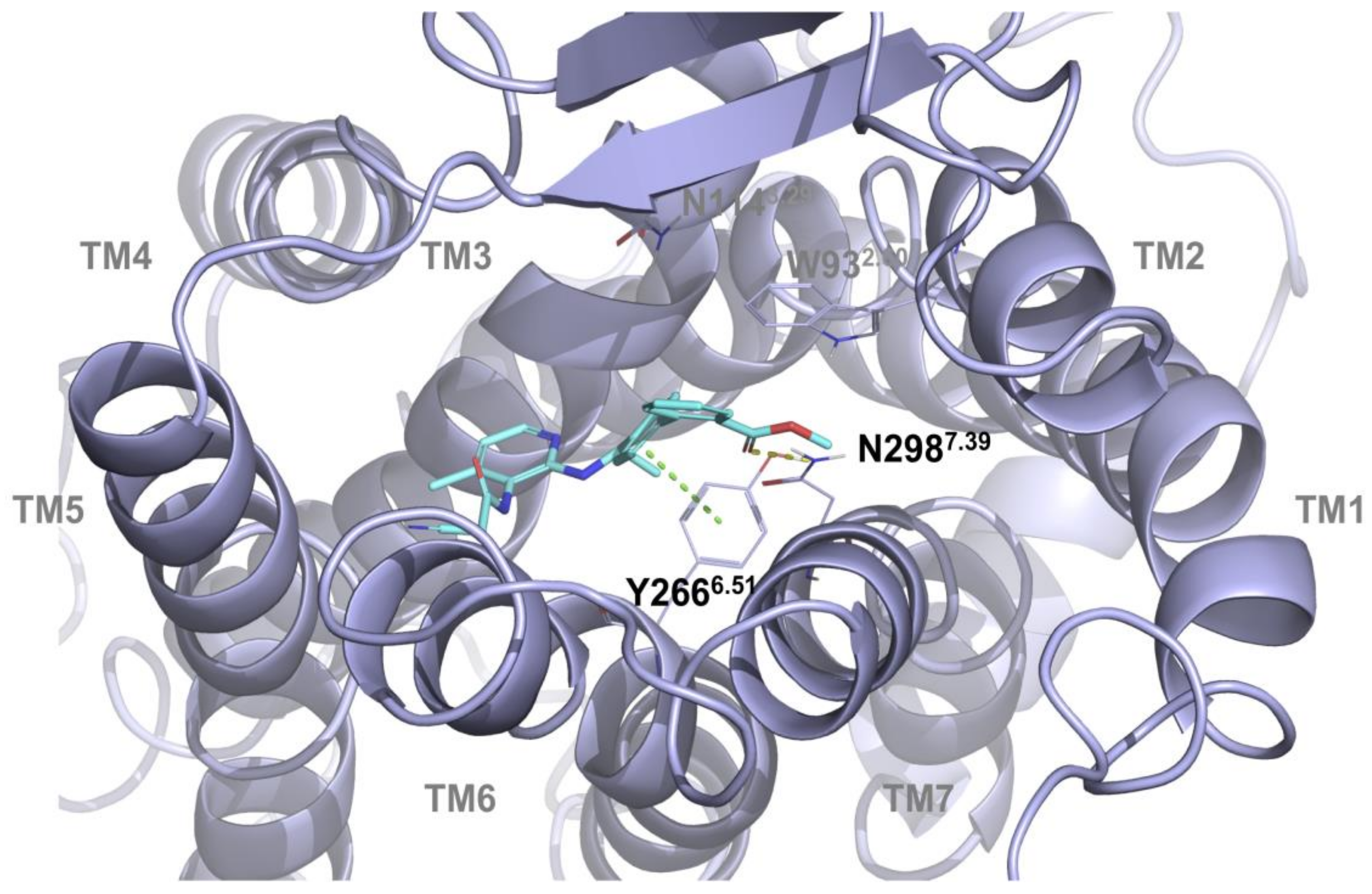 Ijms 21 07677 g003 Ijms 21 07677 g003