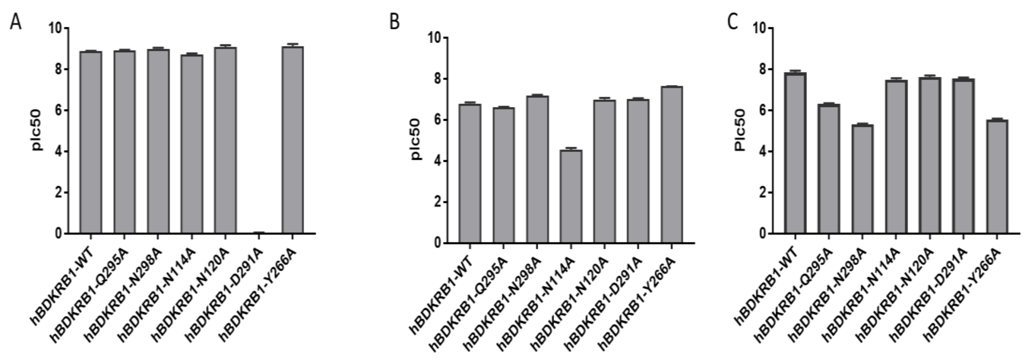 Ijms 21 07677 g004 Ijms 21 07677 g004