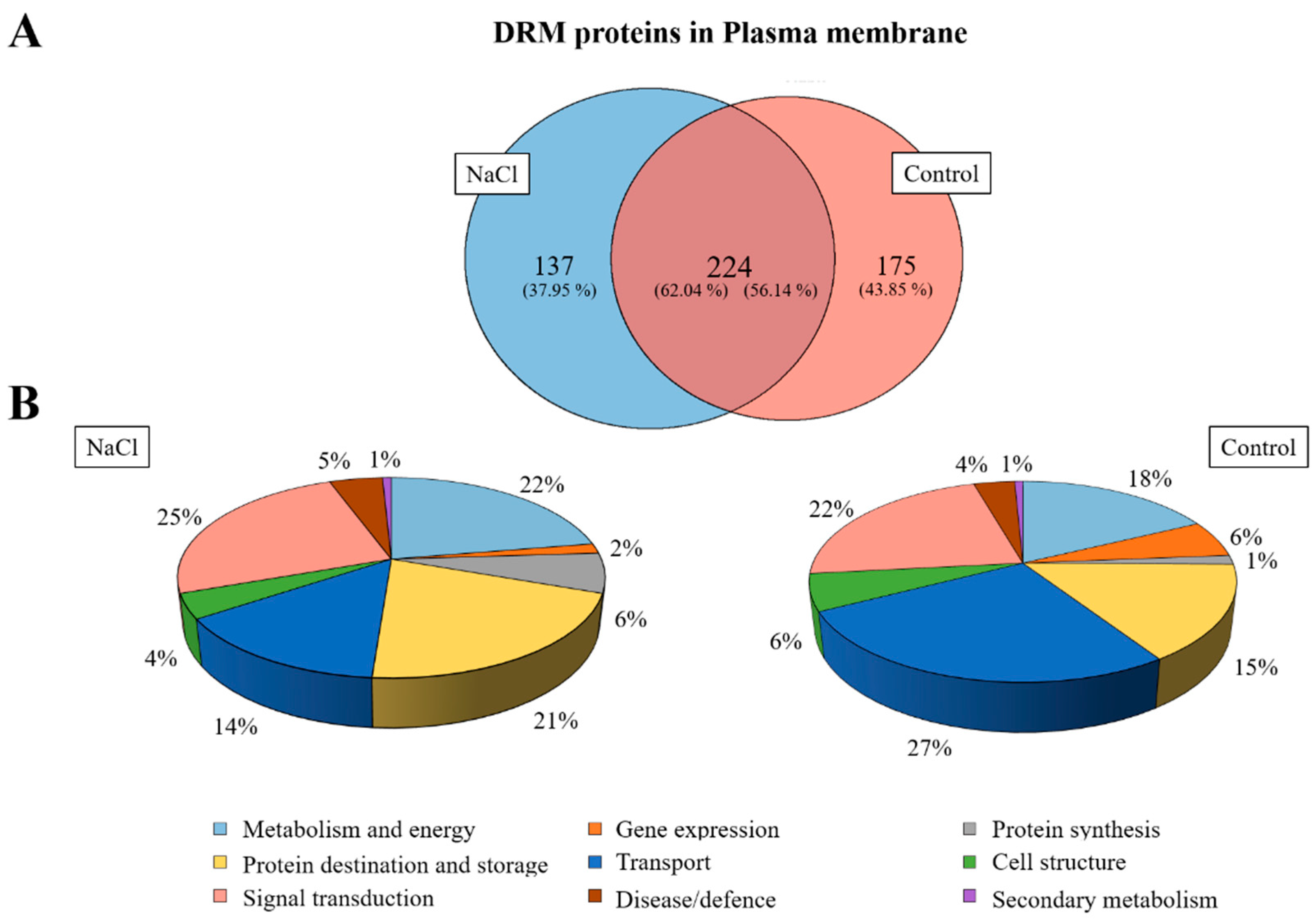 Ijms 21 07694 g007 Ijms 21 07694 g007