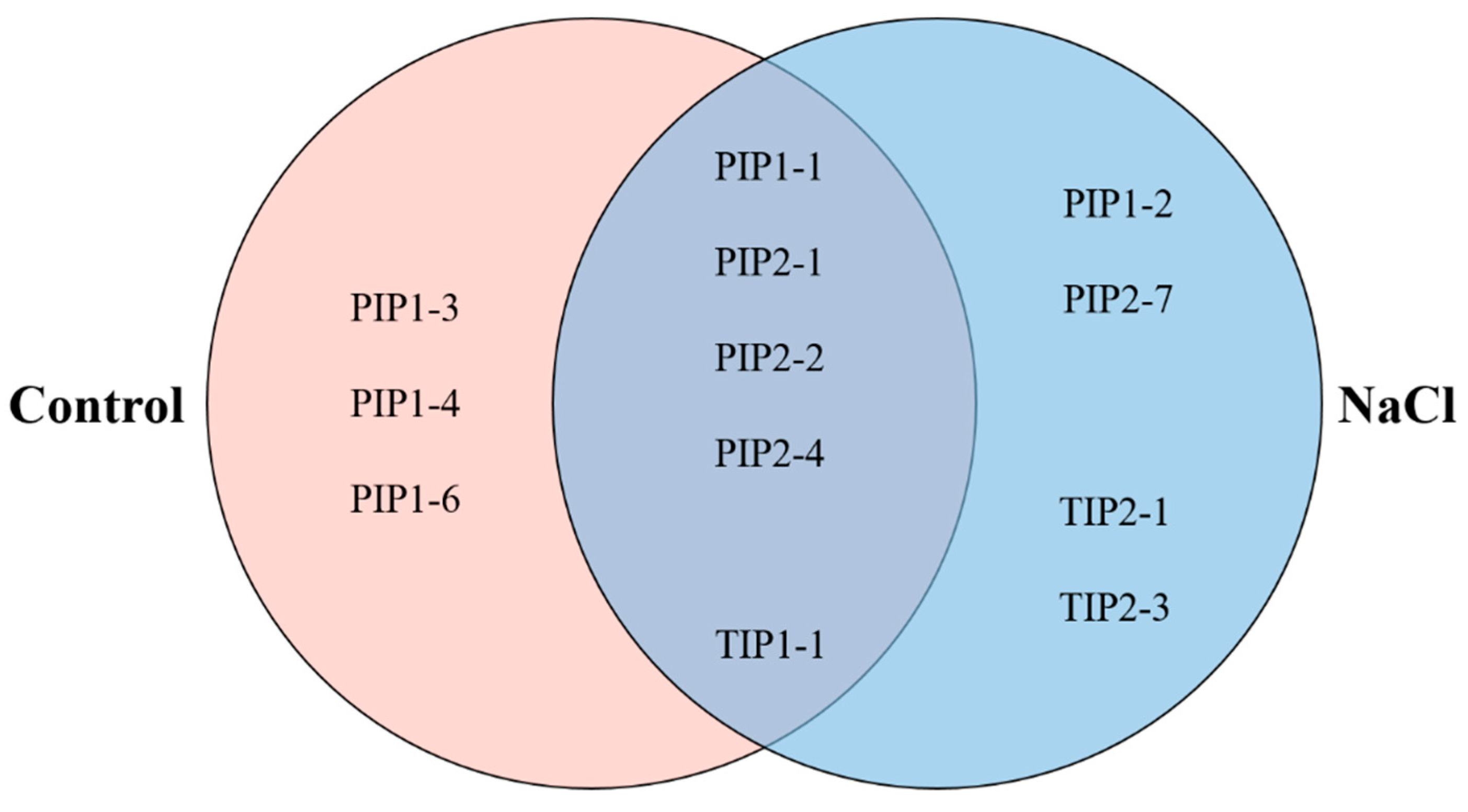 Ijms 21 07694 g008 Ijms 21 07694 g008