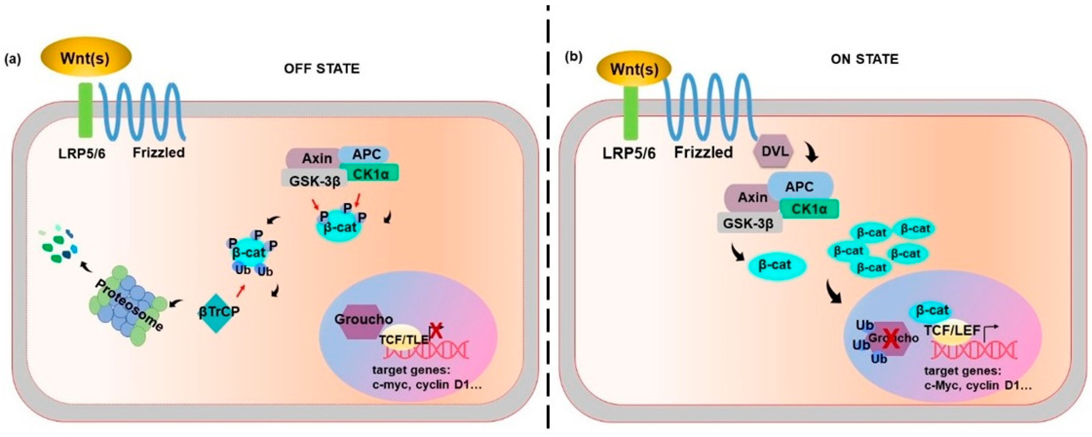 Ijms 21 07697 g001 Ijms 21 07697 g001