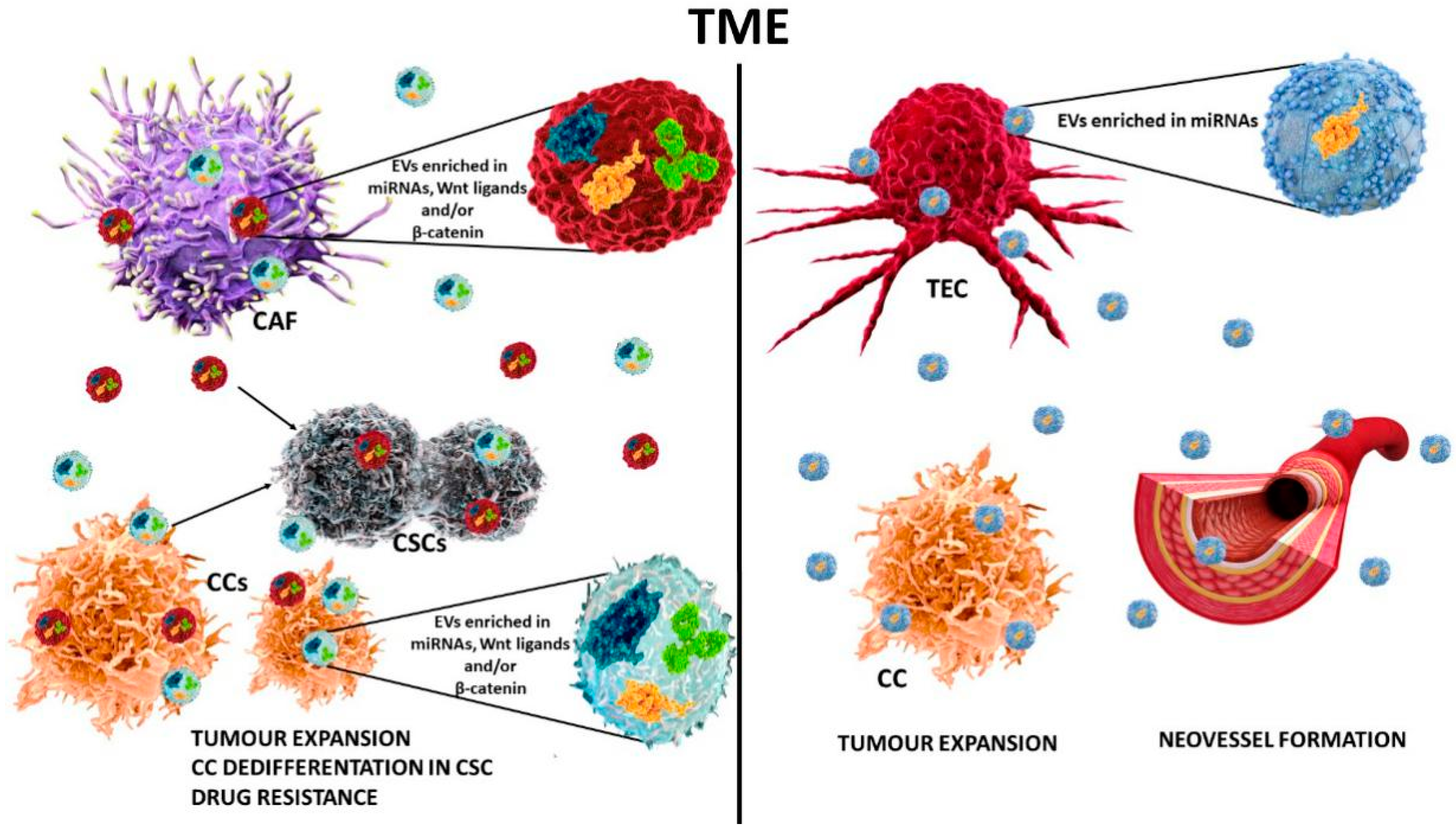 Ijms 21 07697 g003 Ijms 21 07697 g003