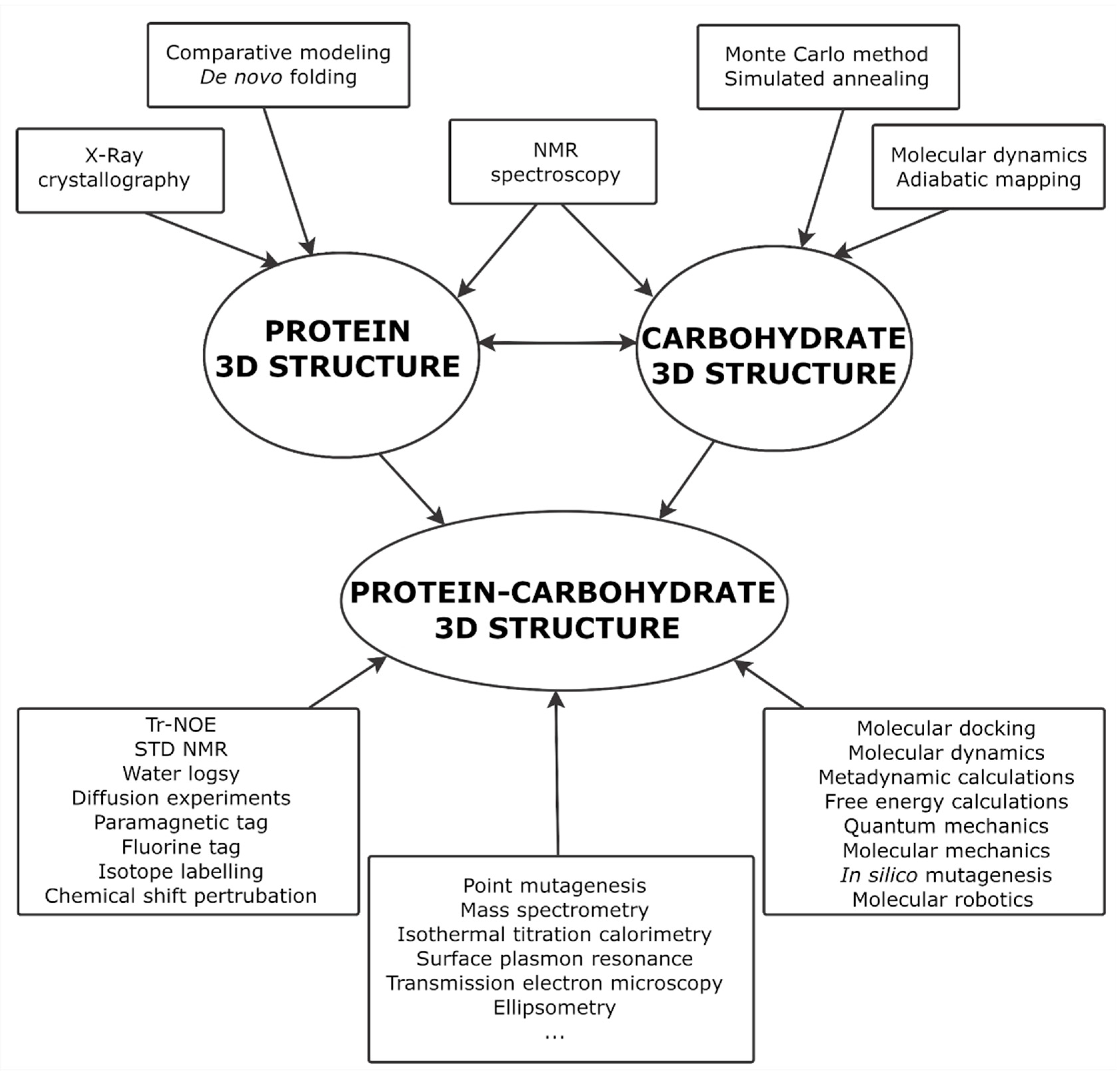 Ijms 21 07702 g006 Ijms 21 07702 g006