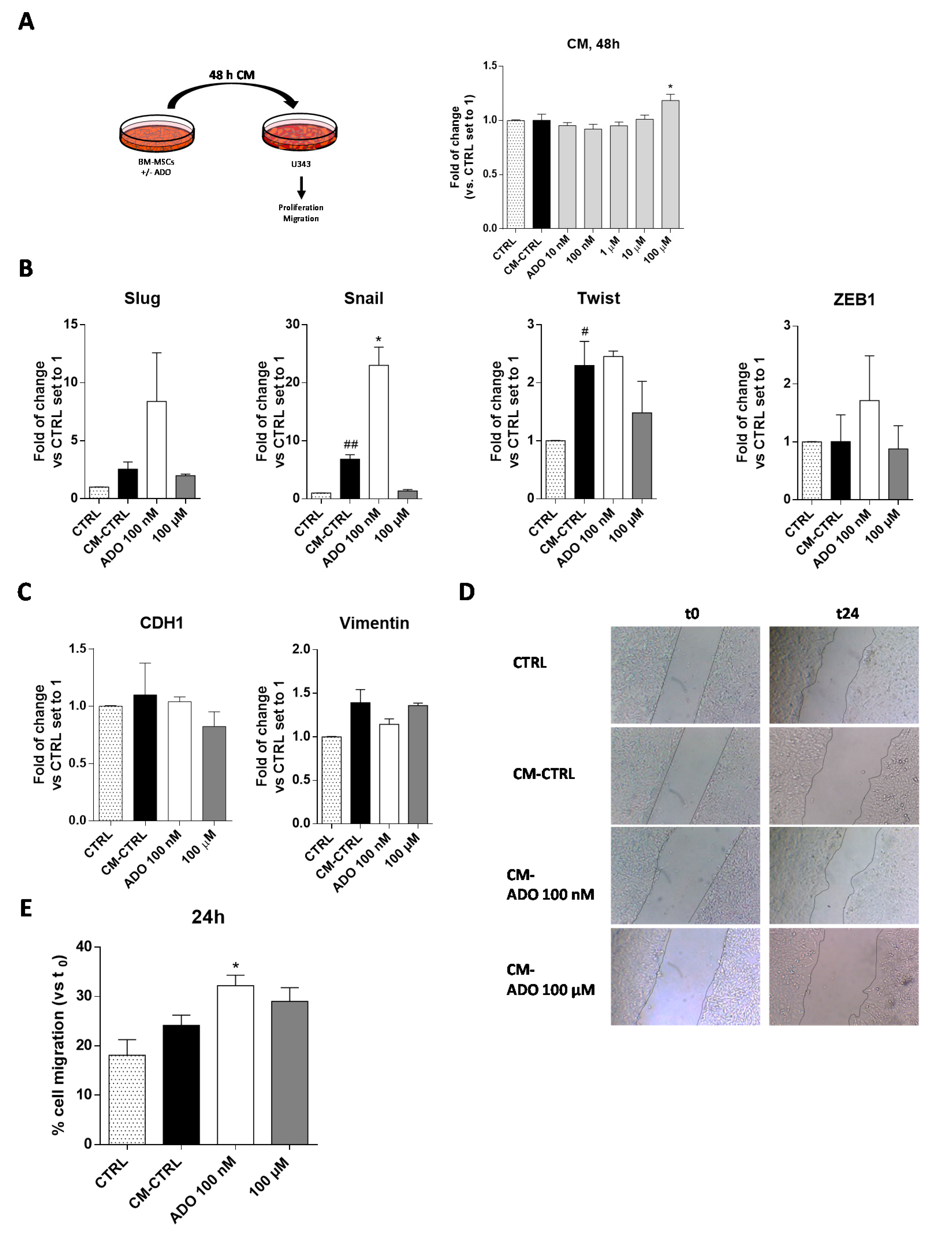 Ijms 21 07706 g005 Ijms 21 07706 g005