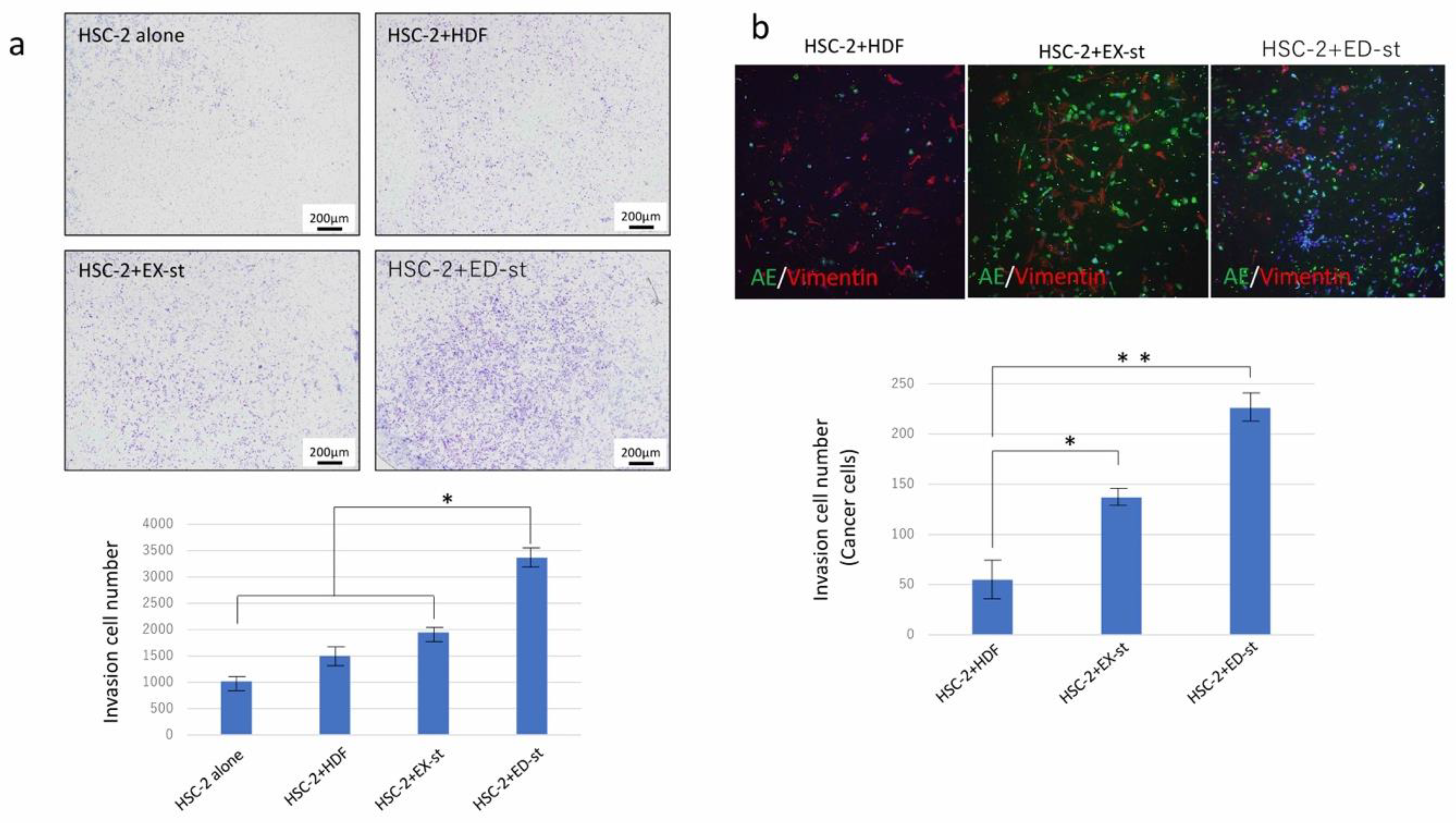 Ijms 21 07714 g003 Ijms 21 07714 g003