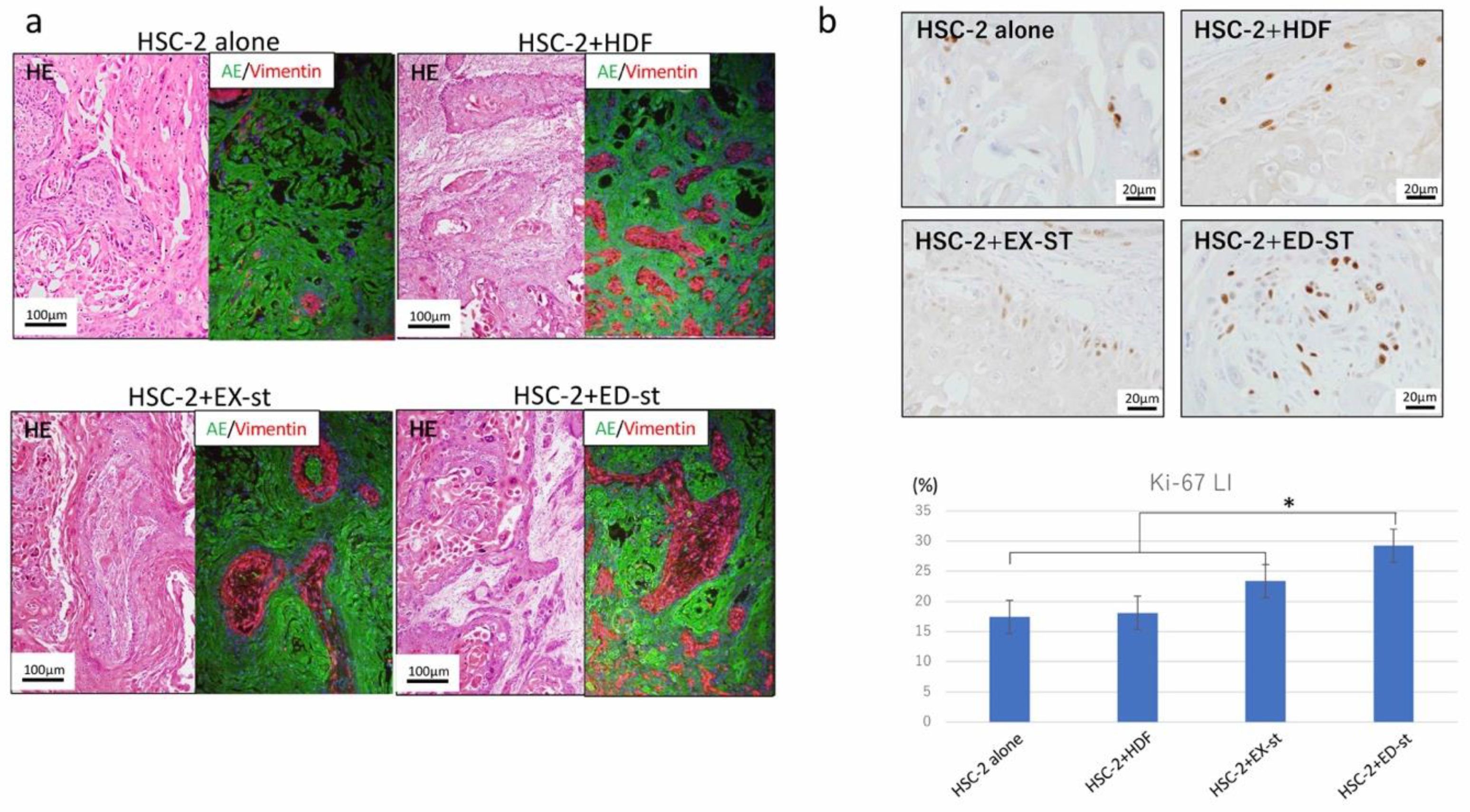 Ijms 21 07714 g005 Ijms 21 07714 g005