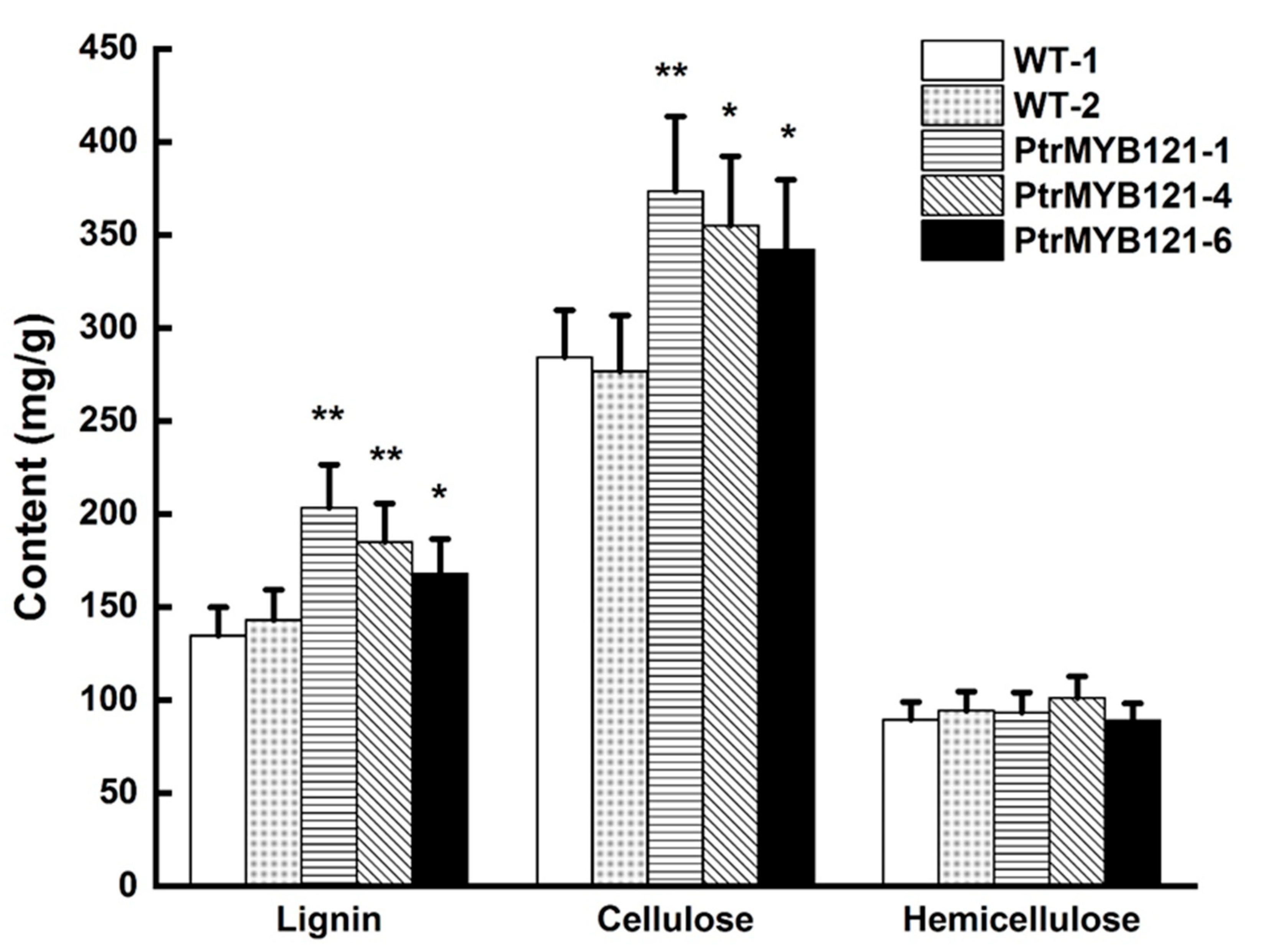 Ijms 21 07734 g005 Ijms 21 07734 g005