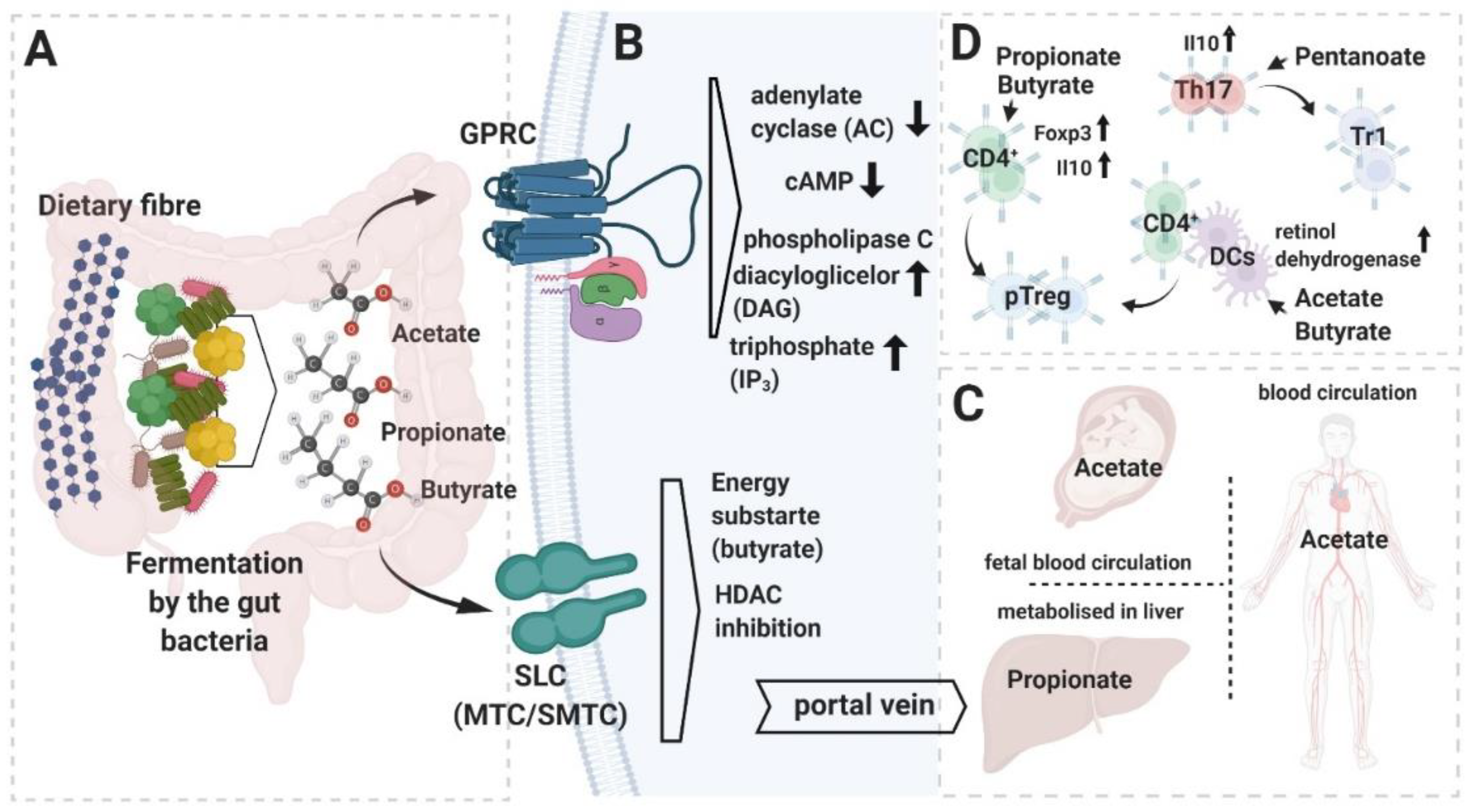 Ijms 21 07740 g001 Ijms 21 07740 g001