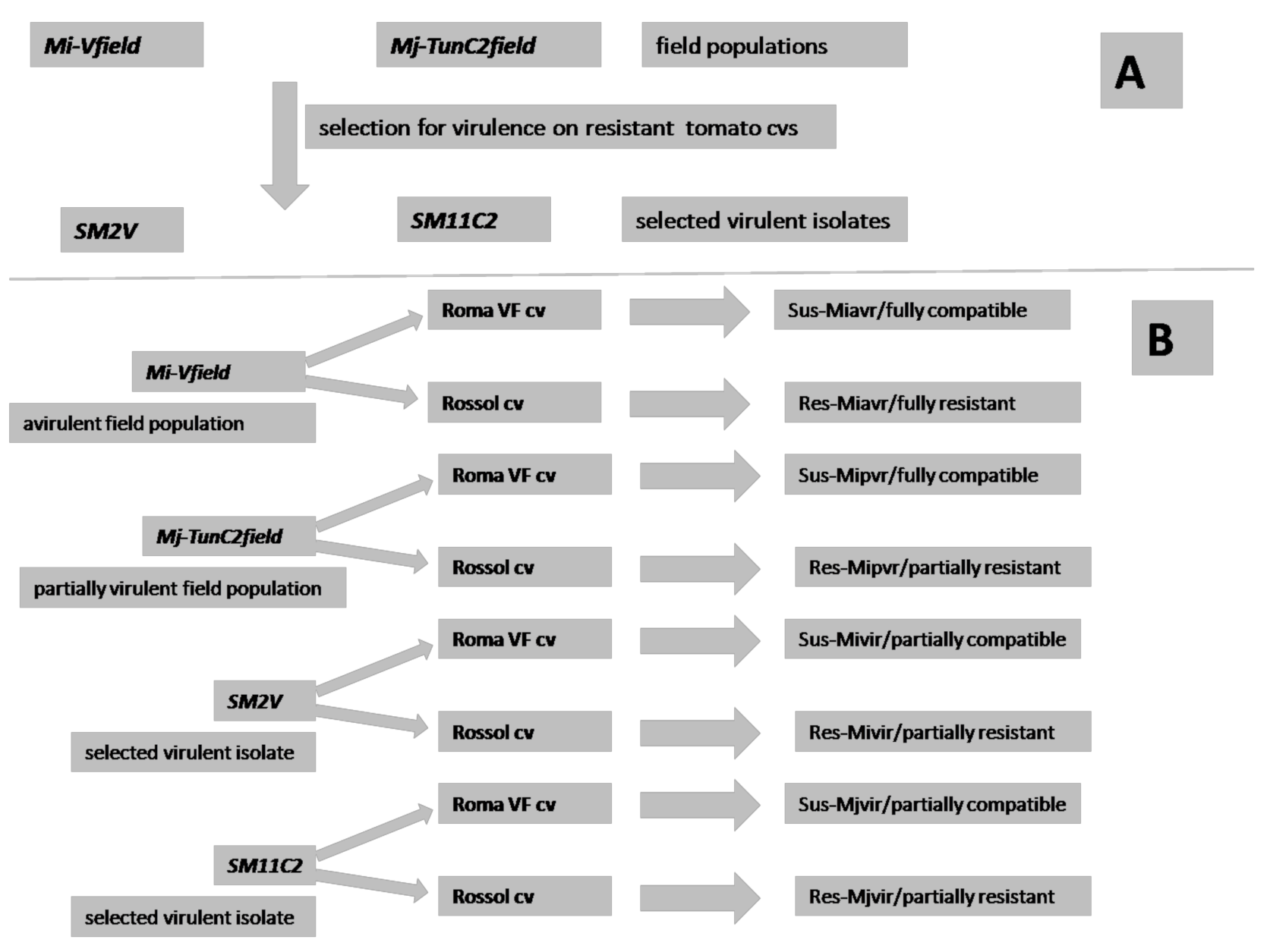 Ijms 21 07759 g001 Ijms 21 07759 g001