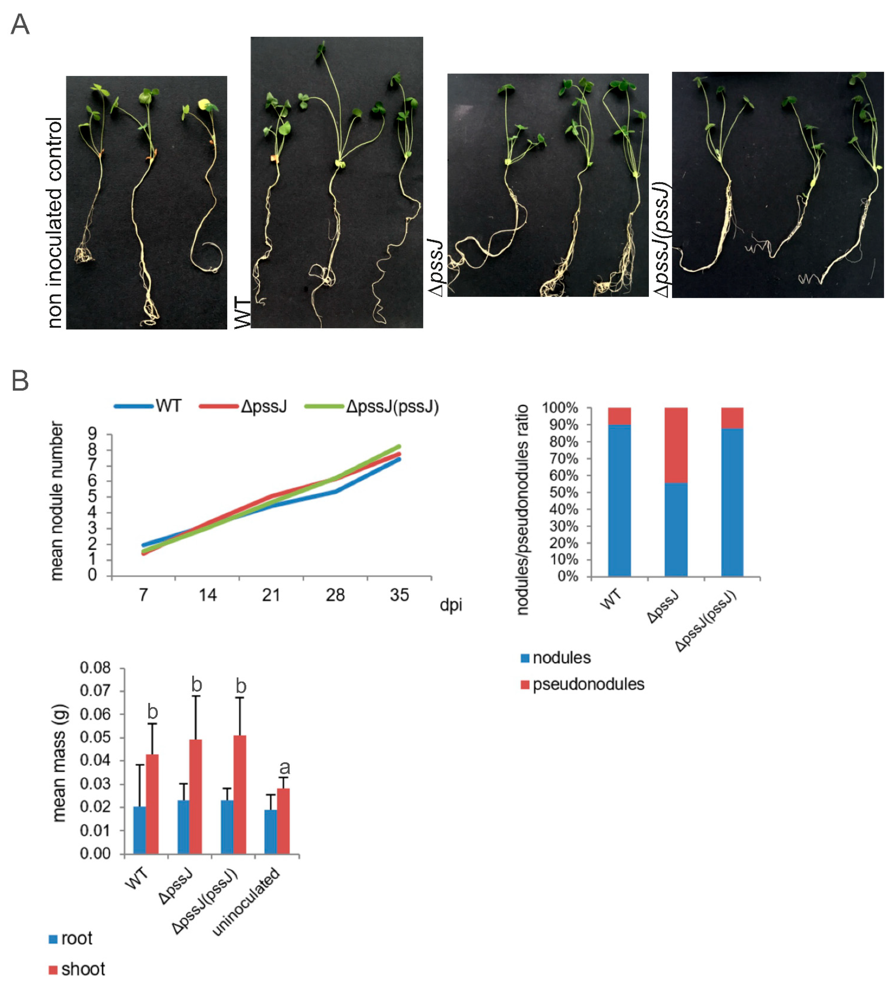 Ijms 21 07764 g006 Ijms 21 07764 g006