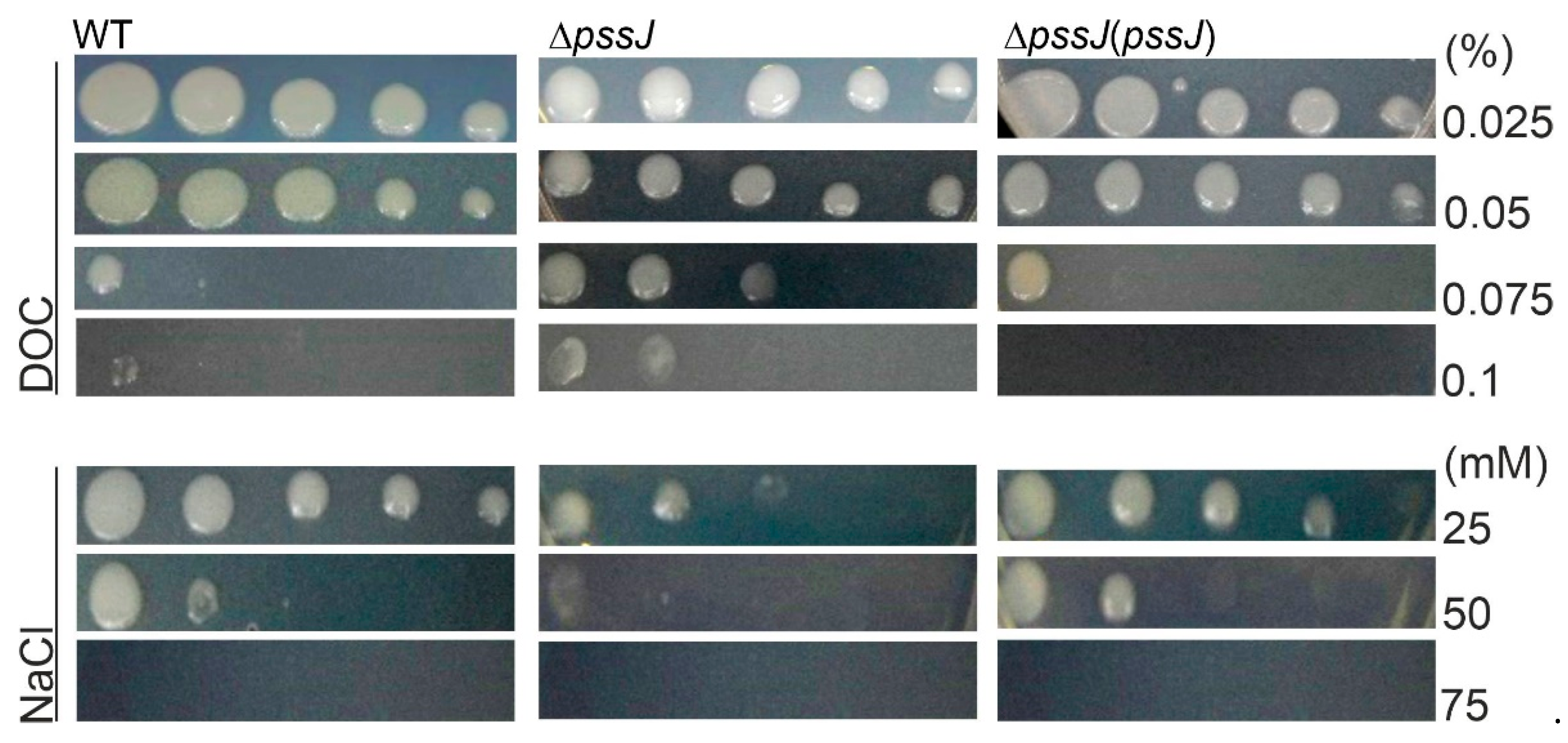 Ijms 21 07764 g008 Ijms 21 07764 g008