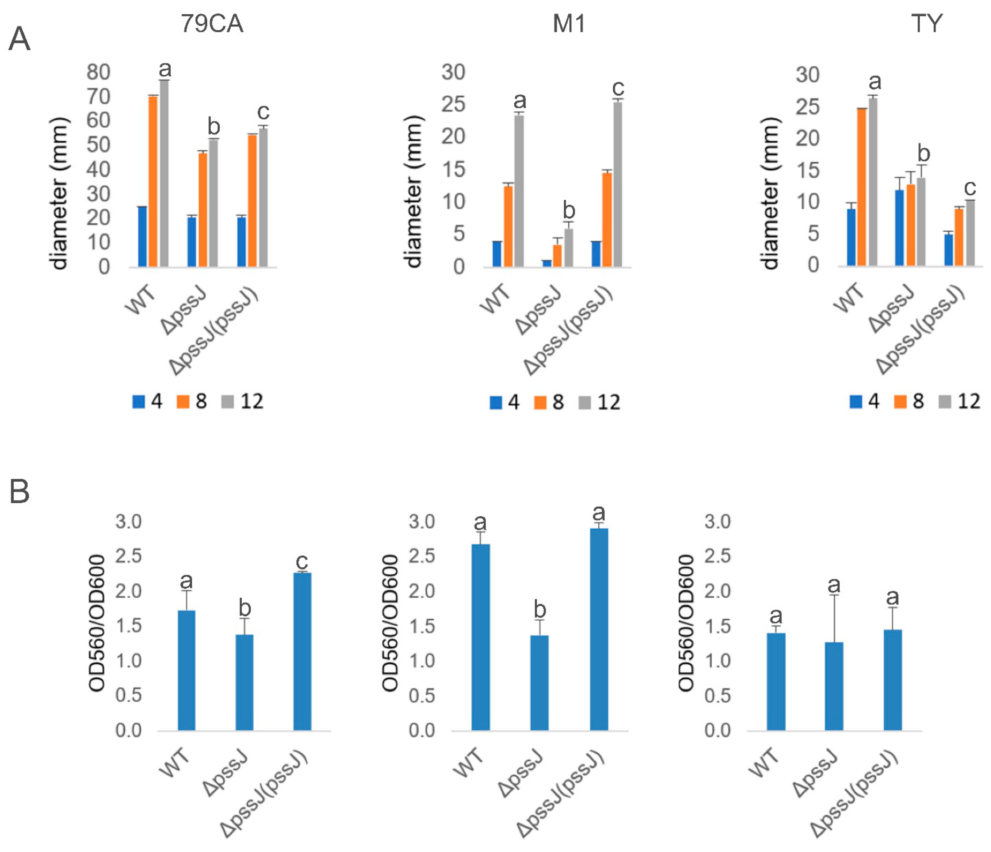 Ijms 21 07764 g009 Ijms 21 07764 g009
