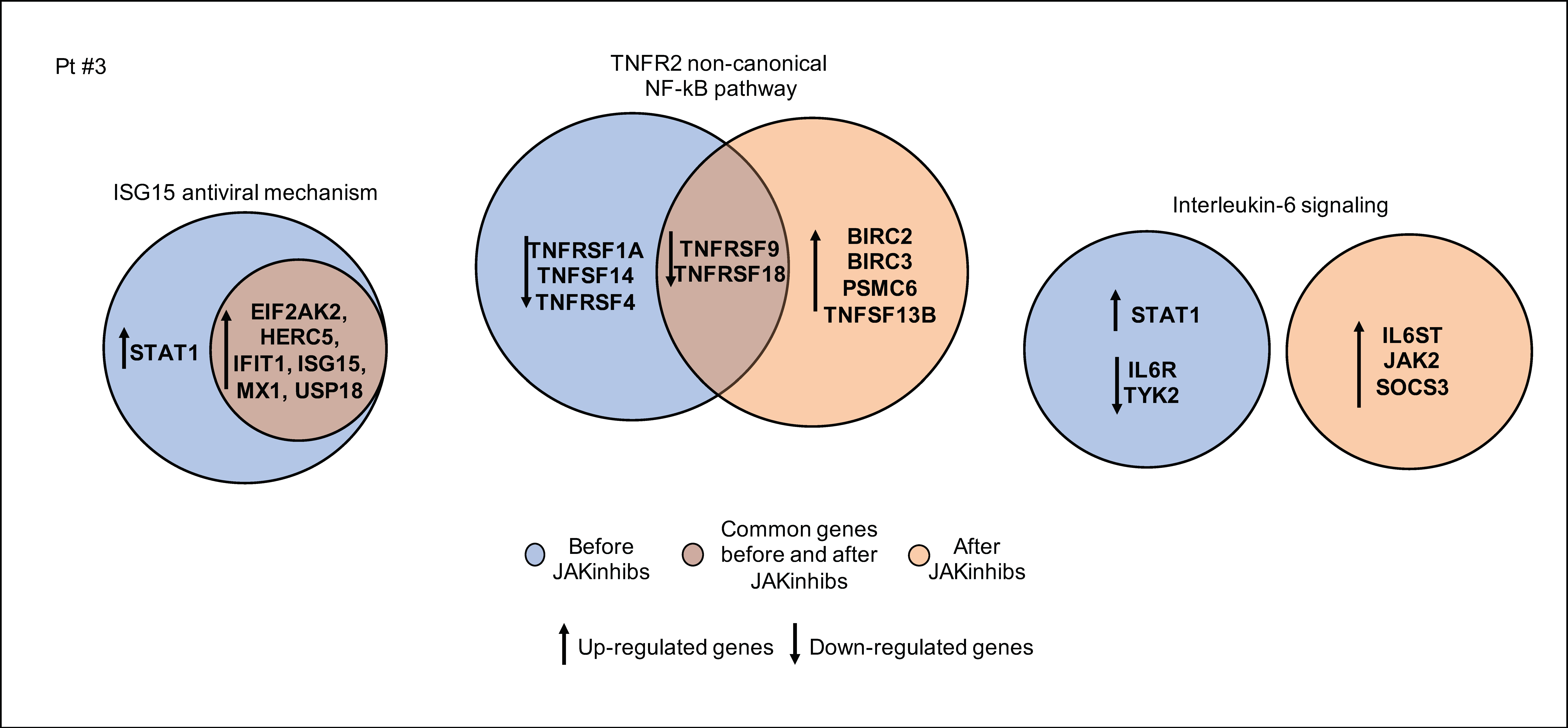 Ijms 21 07767 g005 Ijms 21 07767 g005