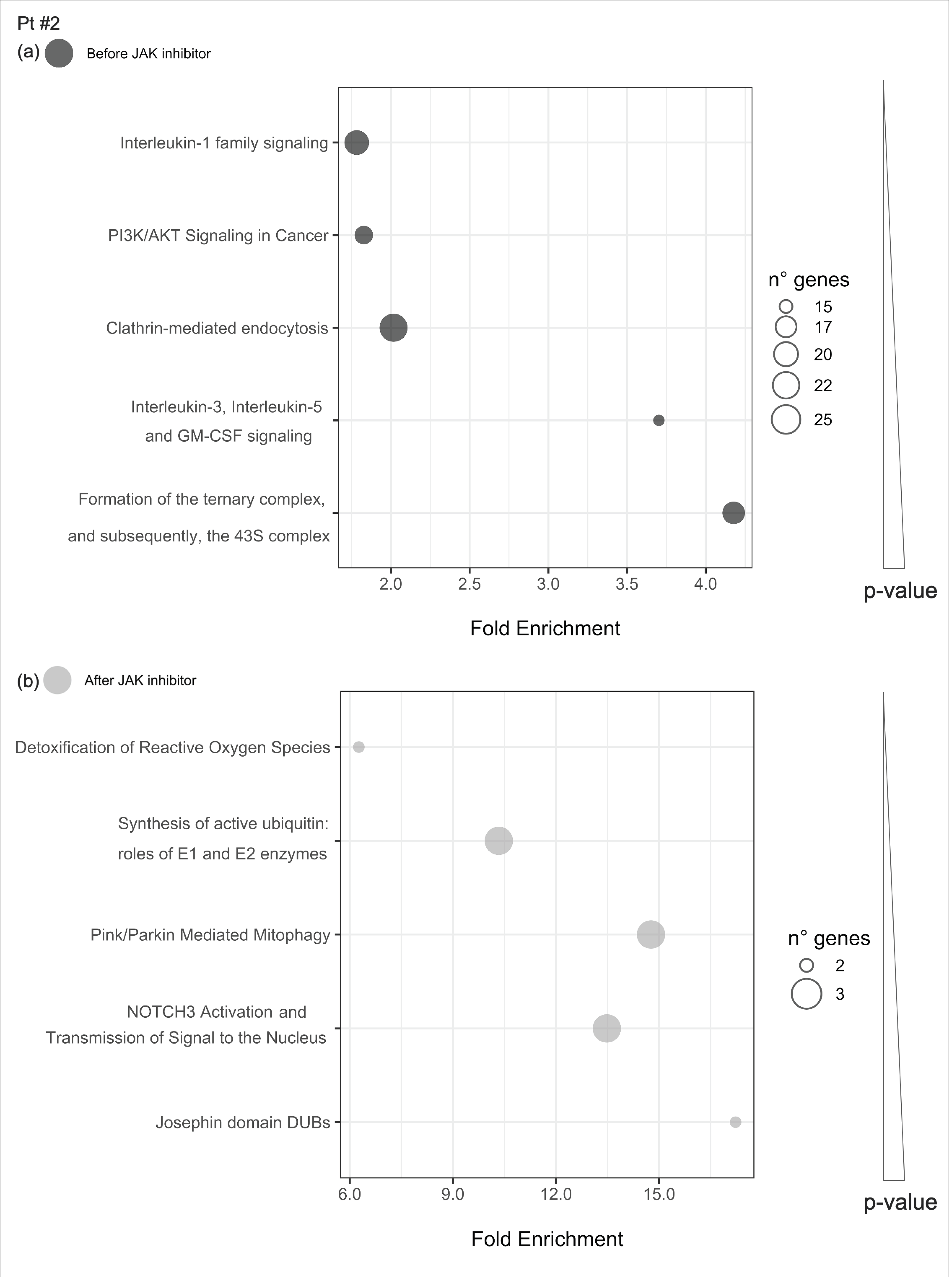 Ijms 21 07767 g009 Ijms 21 07767 g009