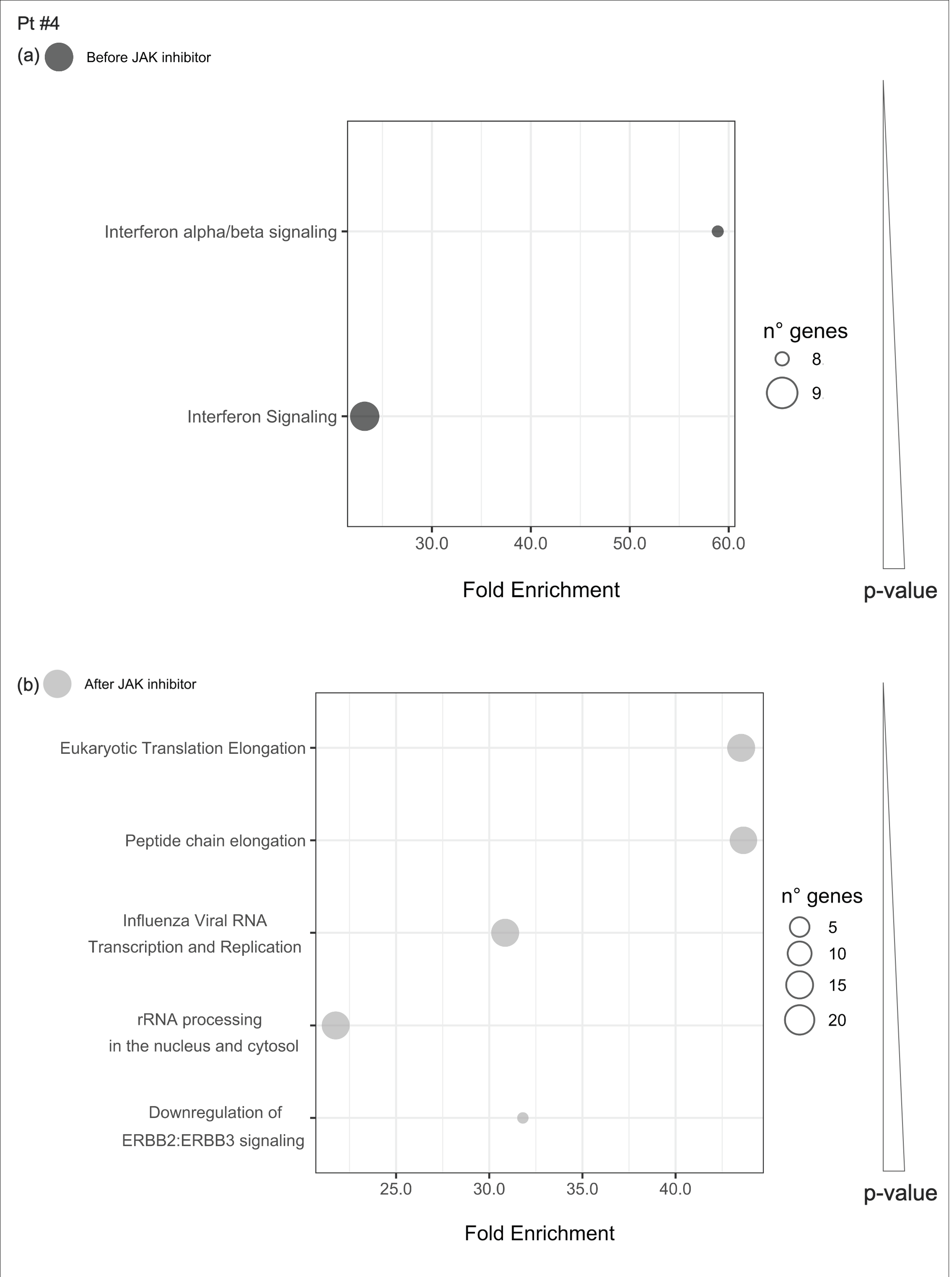 Ijms 21 07767 g011 Ijms 21 07767 g011