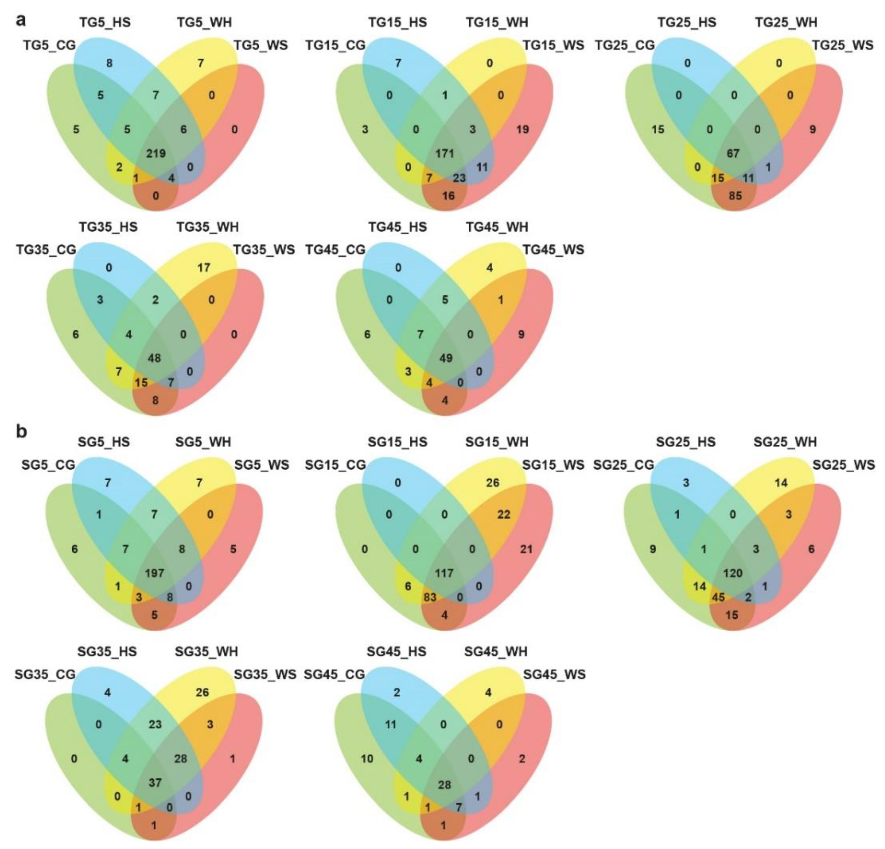 Ijms 21 07772 g001 Ijms 21 07772 g001