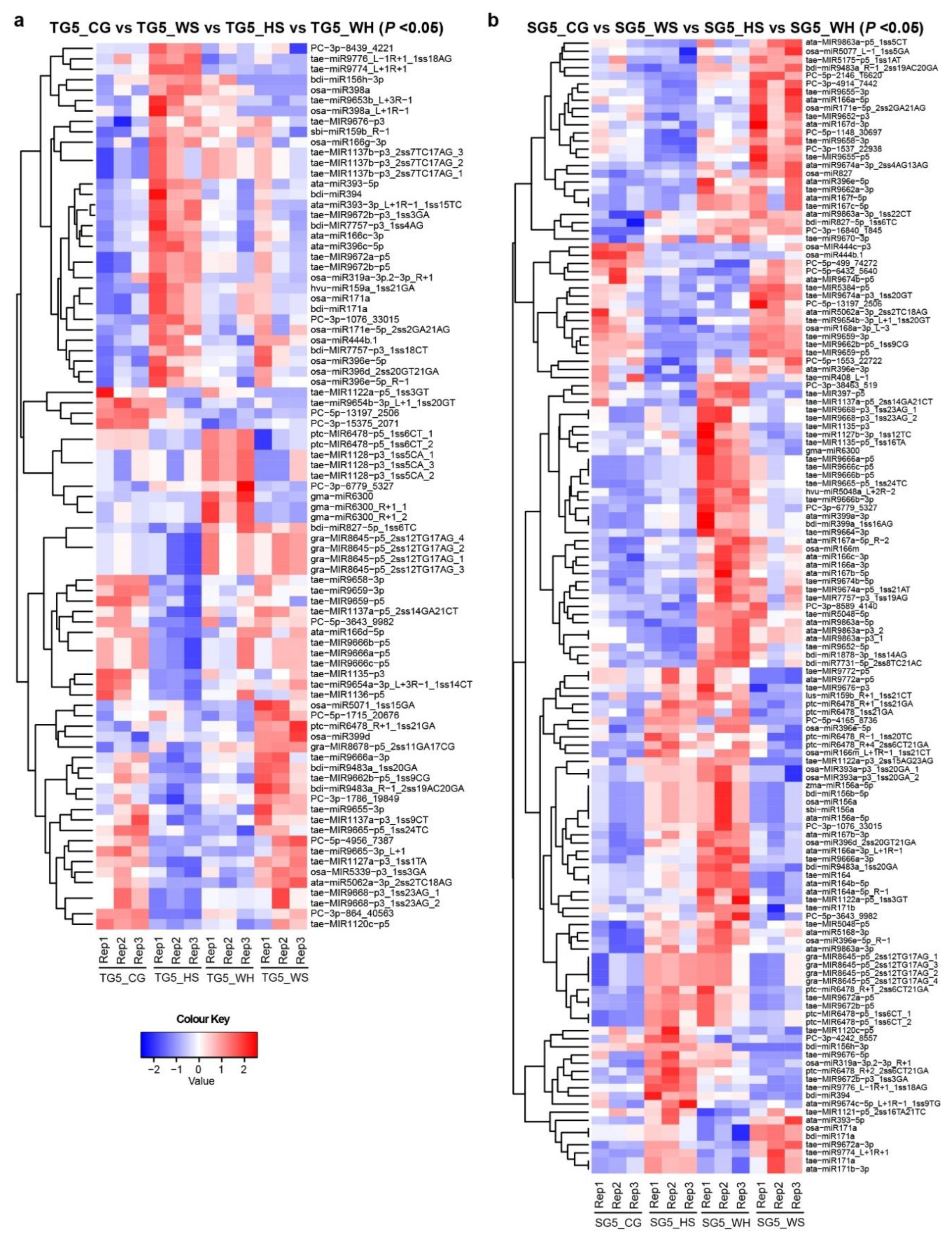 Ijms 21 07772 g002 Ijms 21 07772 g002