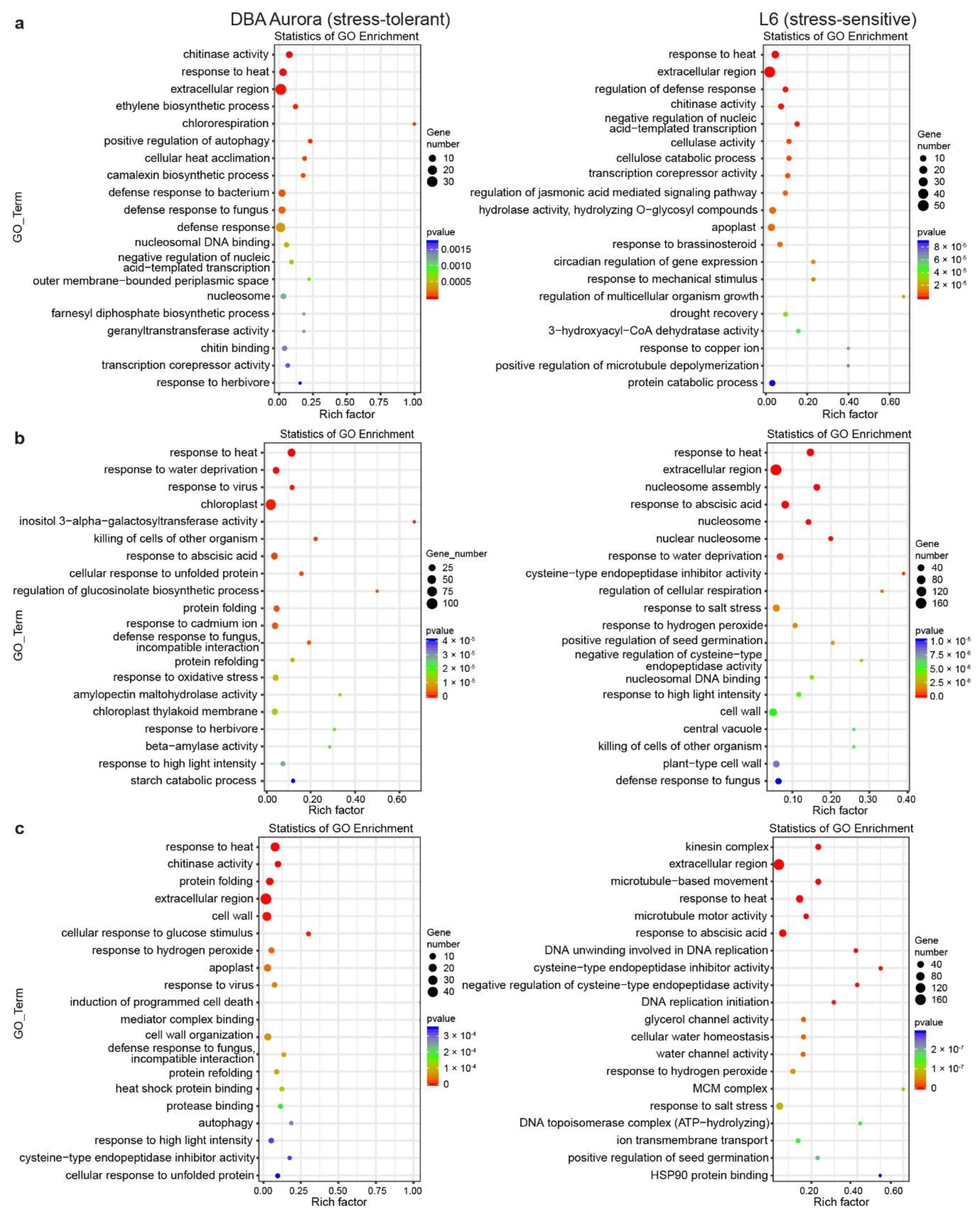 Ijms 21 07772 g003 Ijms 21 07772 g003