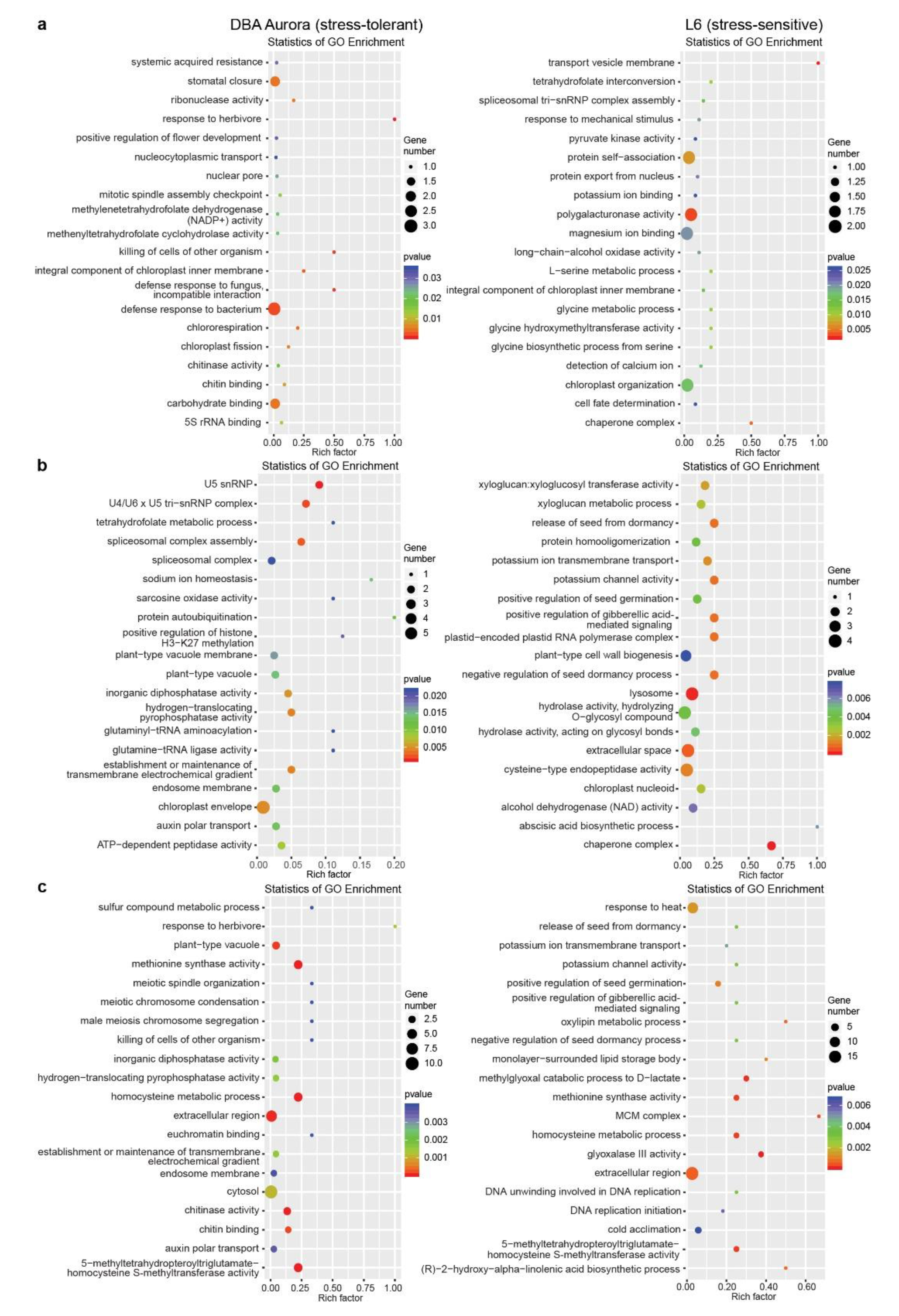 Ijms 21 07772 g004 Ijms 21 07772 g004