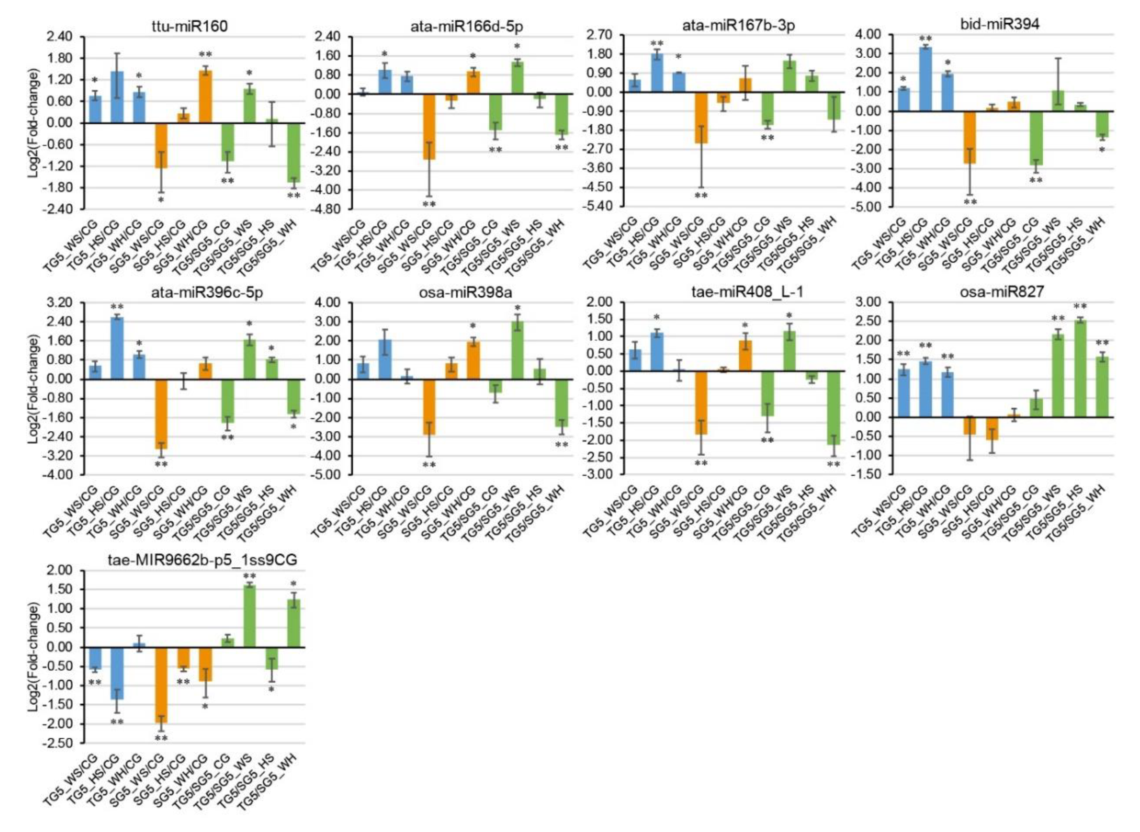 Ijms 21 07772 g005 Ijms 21 07772 g005