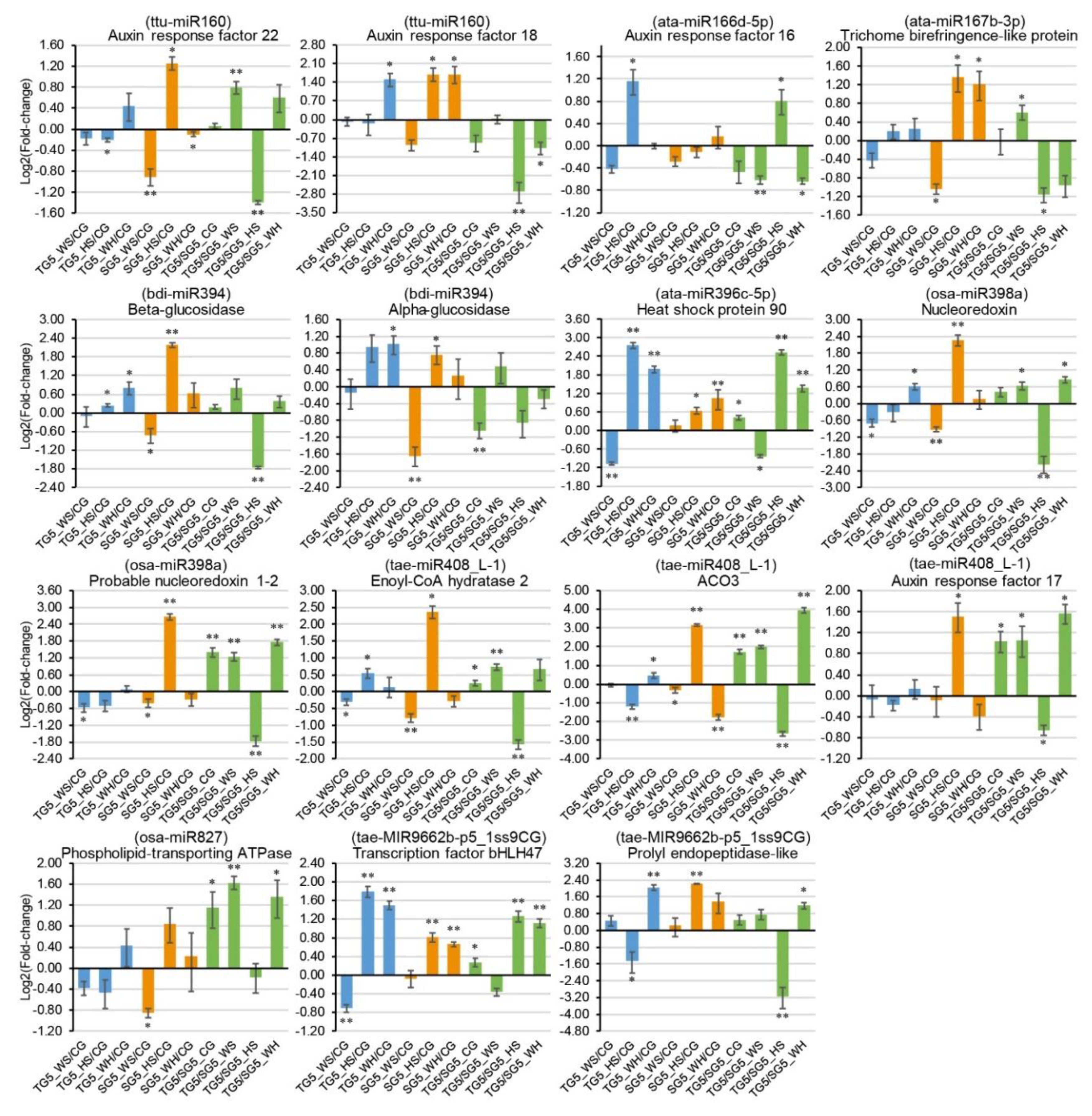 Ijms 21 07772 g006 Ijms 21 07772 g006