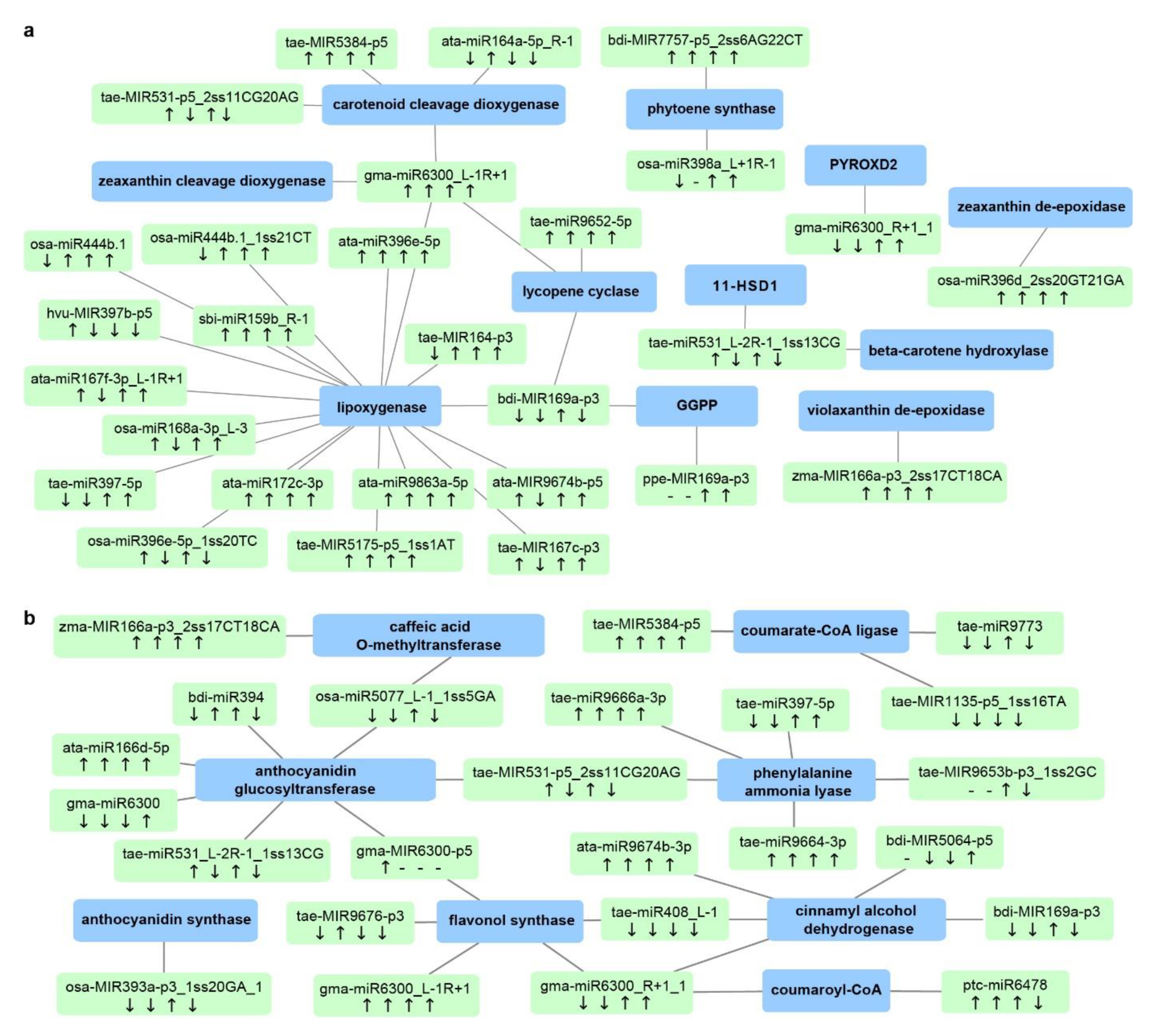 Ijms 21 07772 g008 Ijms 21 07772 g008