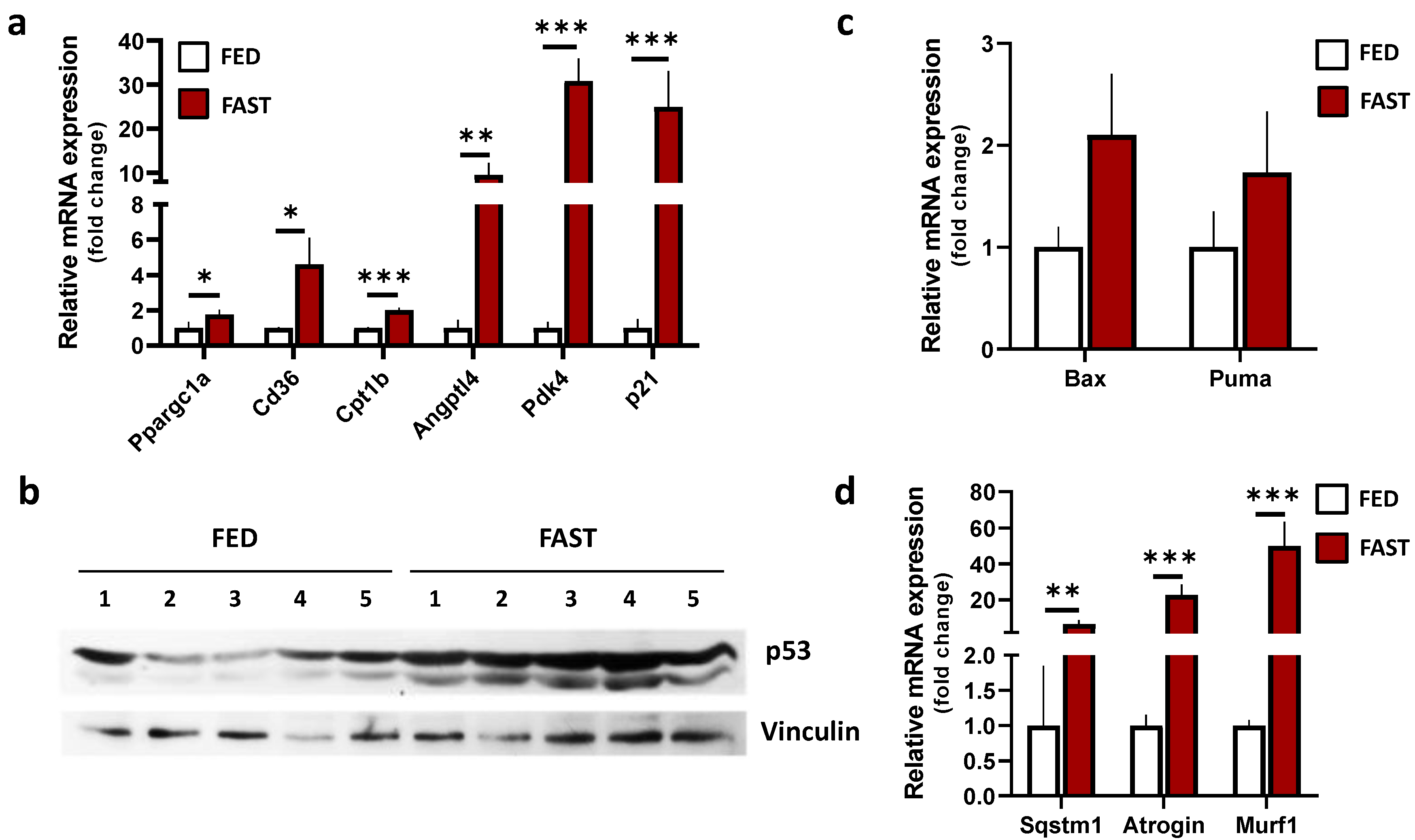 Ijms 21 07780 g001 Ijms 21 07780 g001