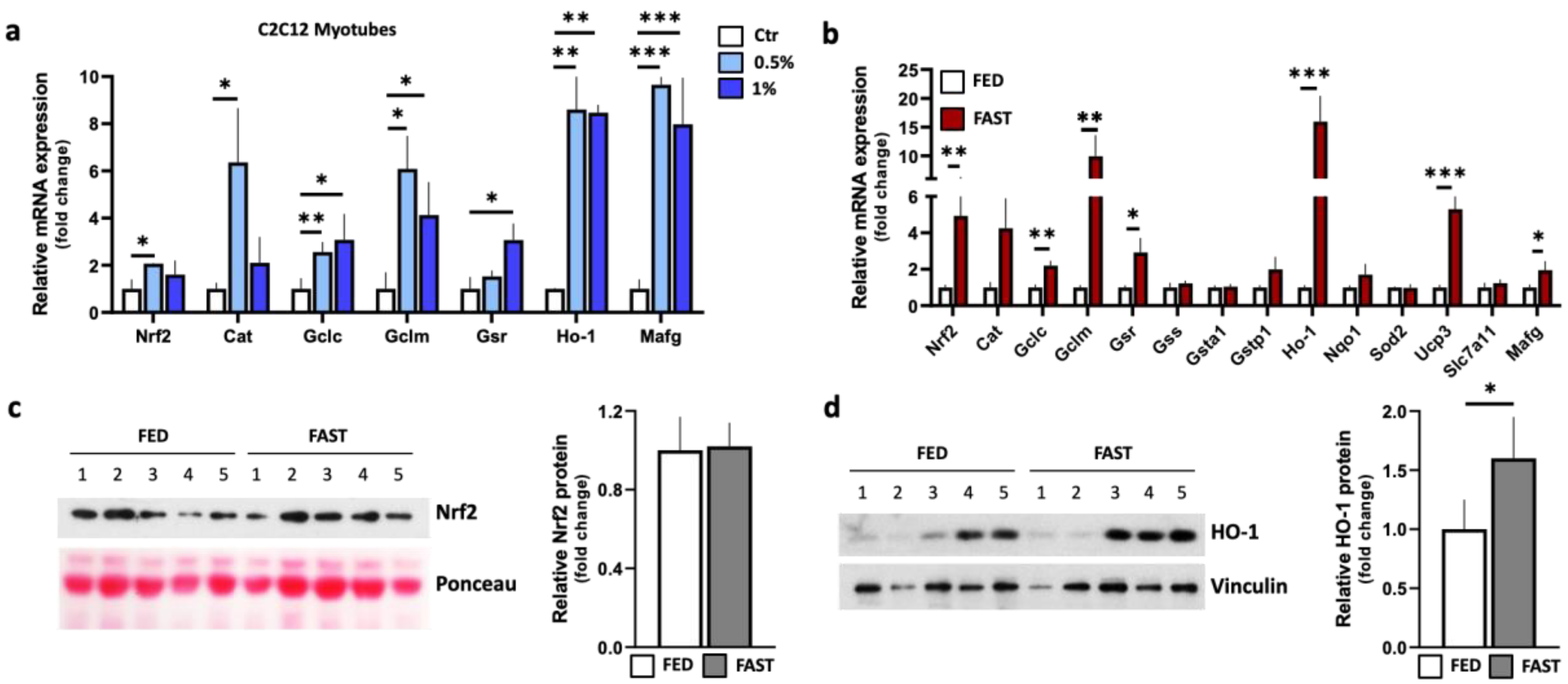 Ijms 21 07780 g002 Ijms 21 07780 g002
