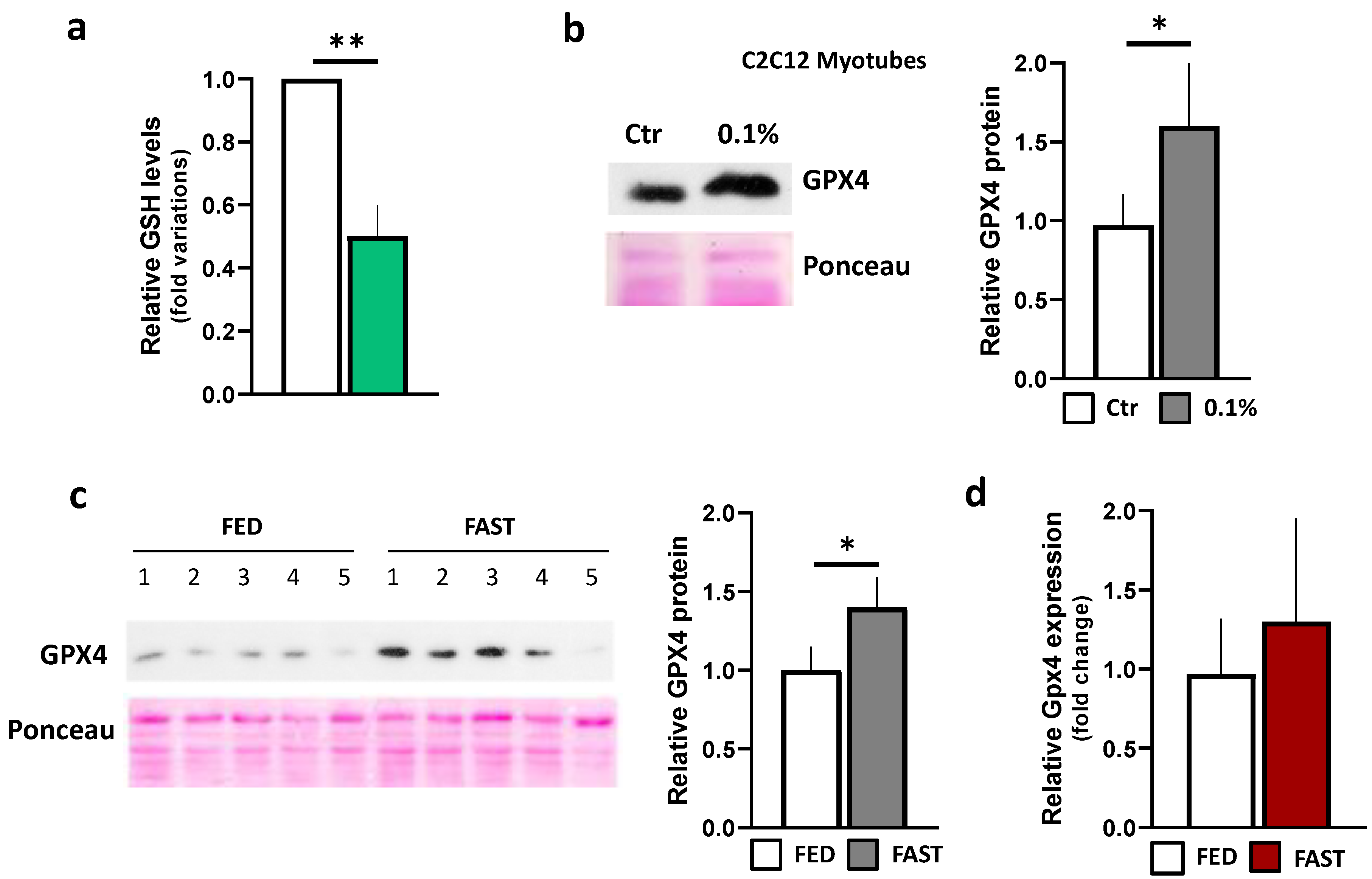 Ijms 21 07780 g003 Ijms 21 07780 g003