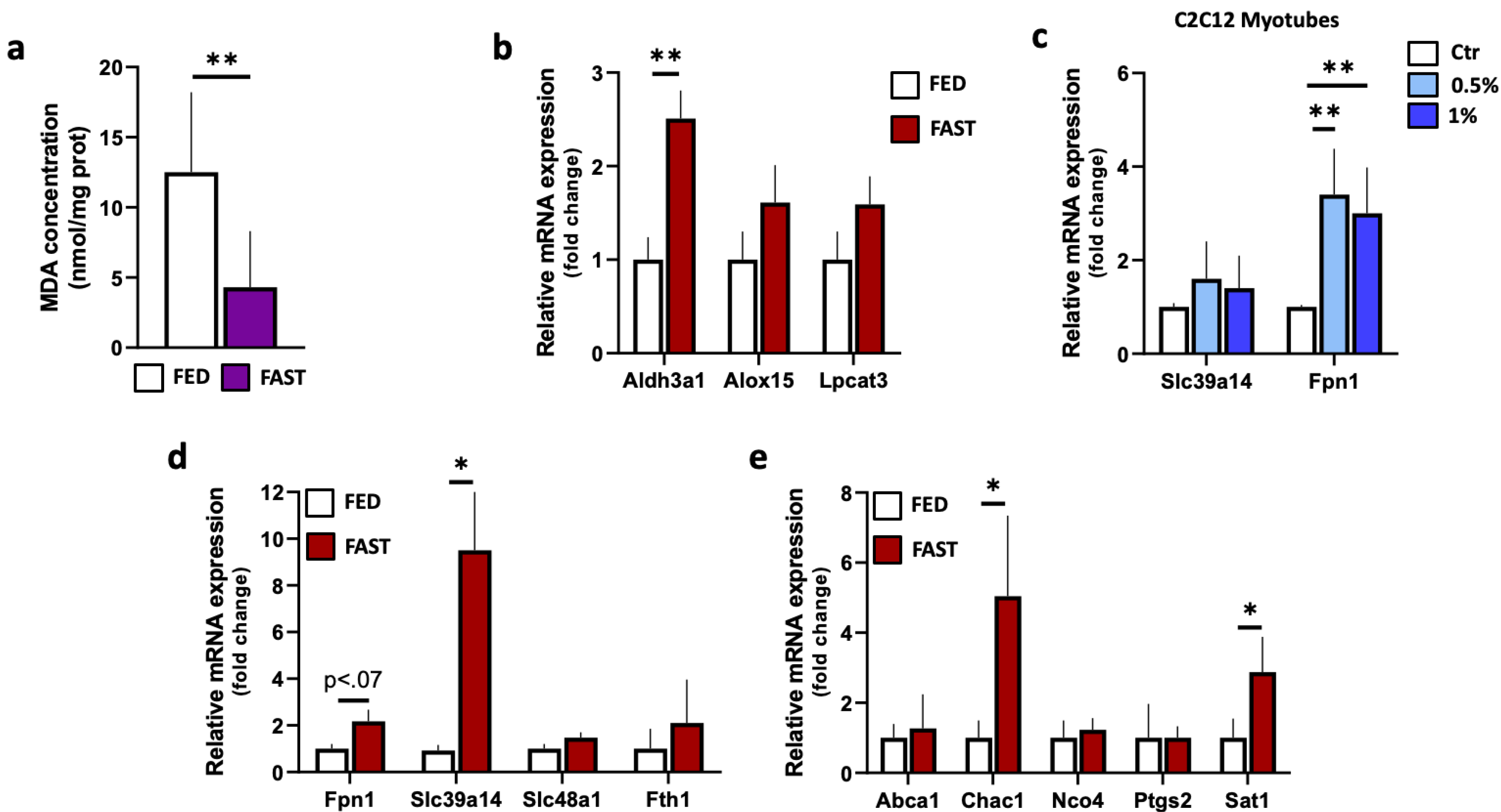 Ijms 21 07780 g004 Ijms 21 07780 g004