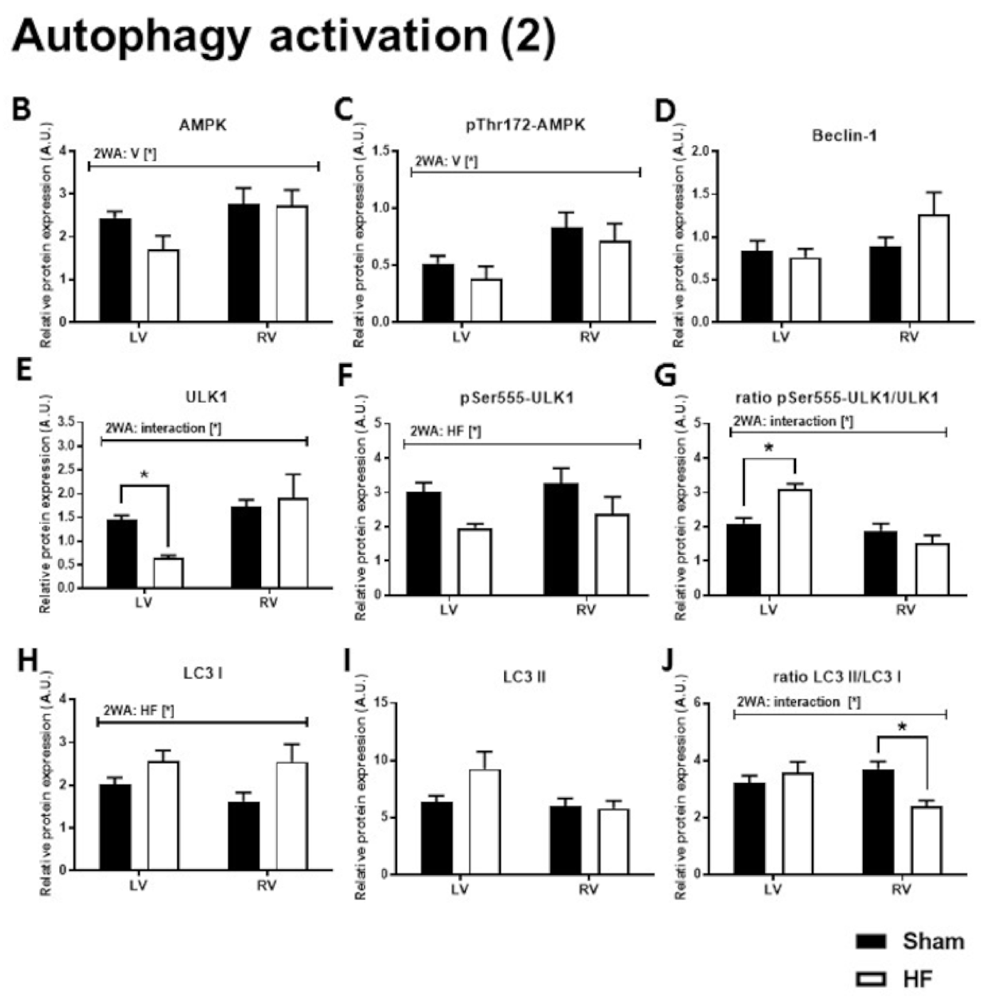 Ijms 21 07782 g002b Ijms 21 07782 g002b