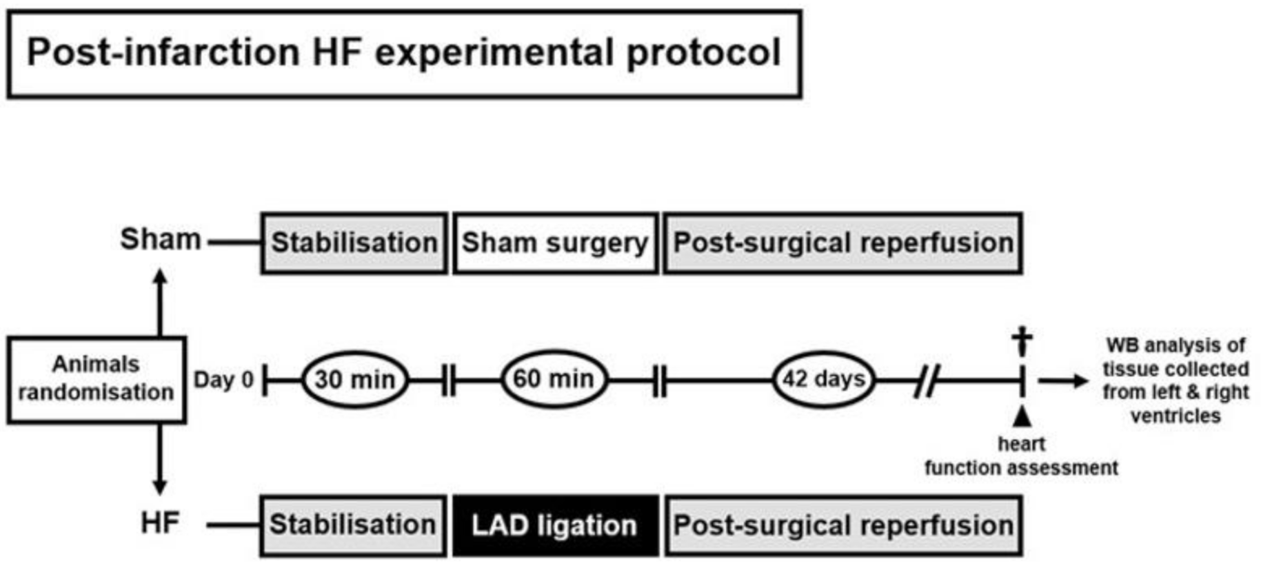 Ijms 21 07782 g005 Ijms 21 07782 g005
