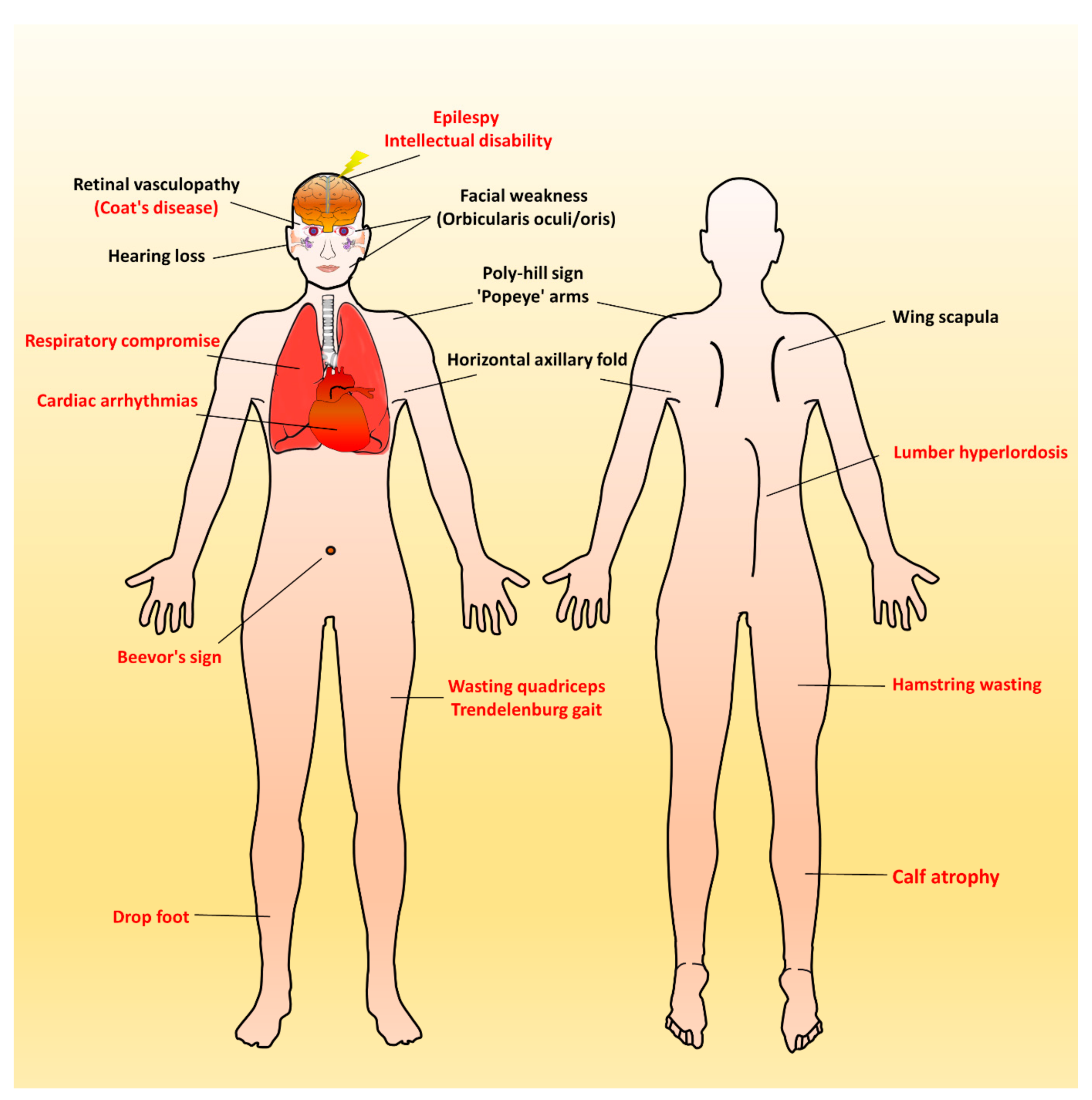 Ijms 21 07783 g002 Ijms 21 07783 g002