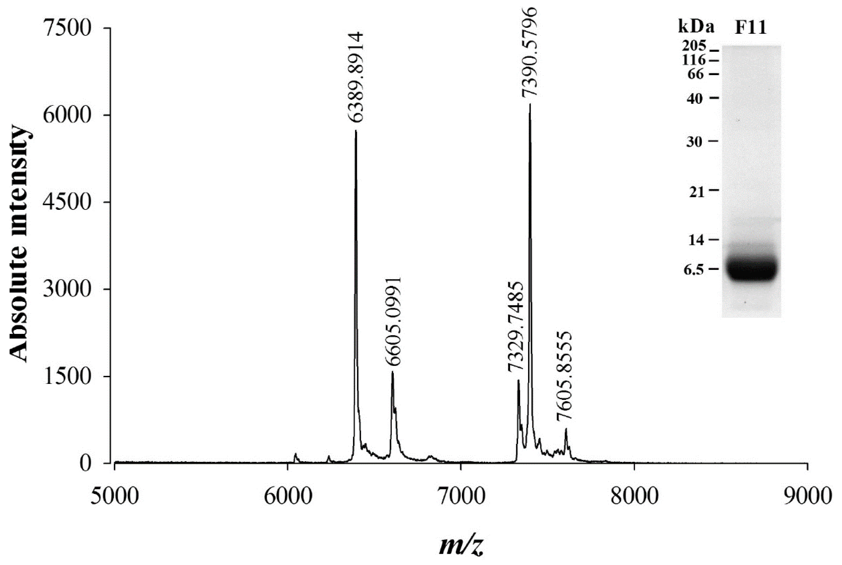 Ijms 21 07786 g002 Ijms 21 07786 g002